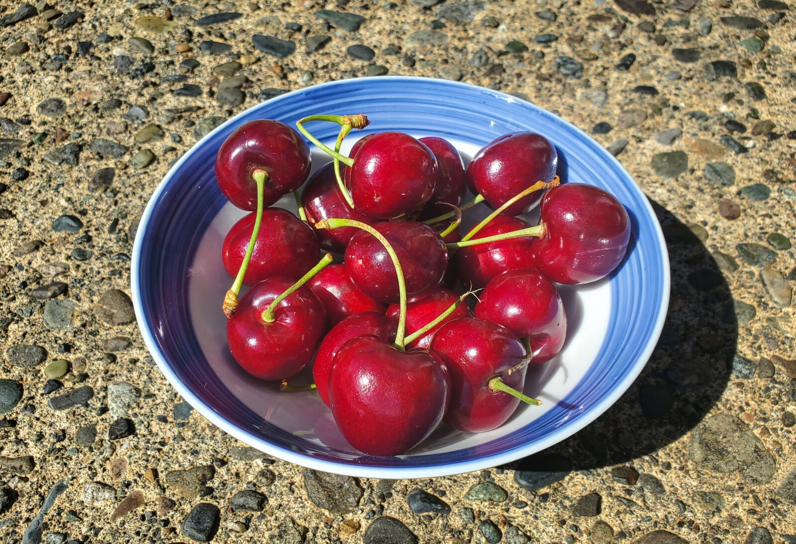 Samsung Galaxy S10e sample photo. Cherries, cherry, bowl of photography