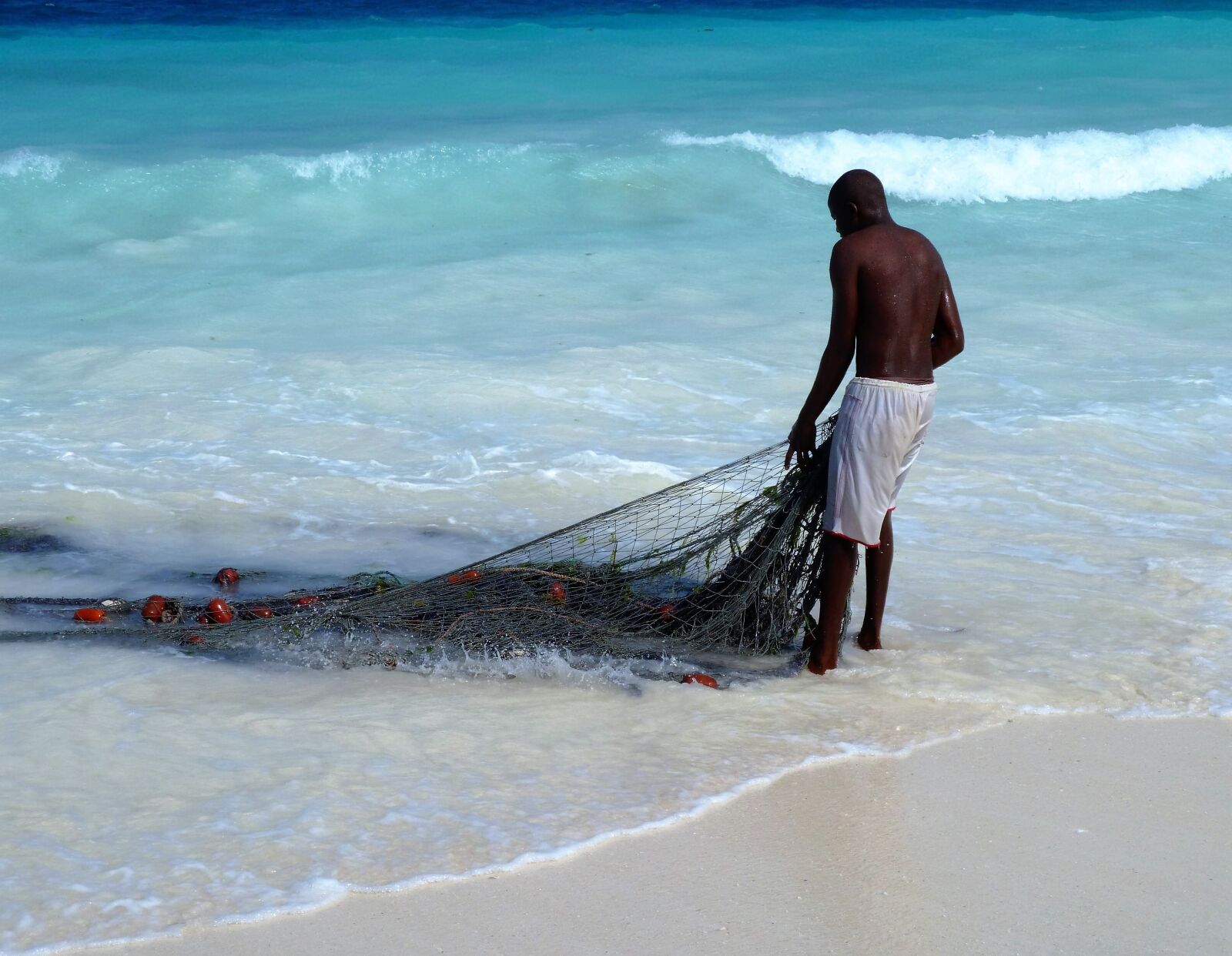 Panasonic Lumix DMC-ZS5 (Lumix DMC-TZ8) sample photo. Visser, fishnet, africa photography