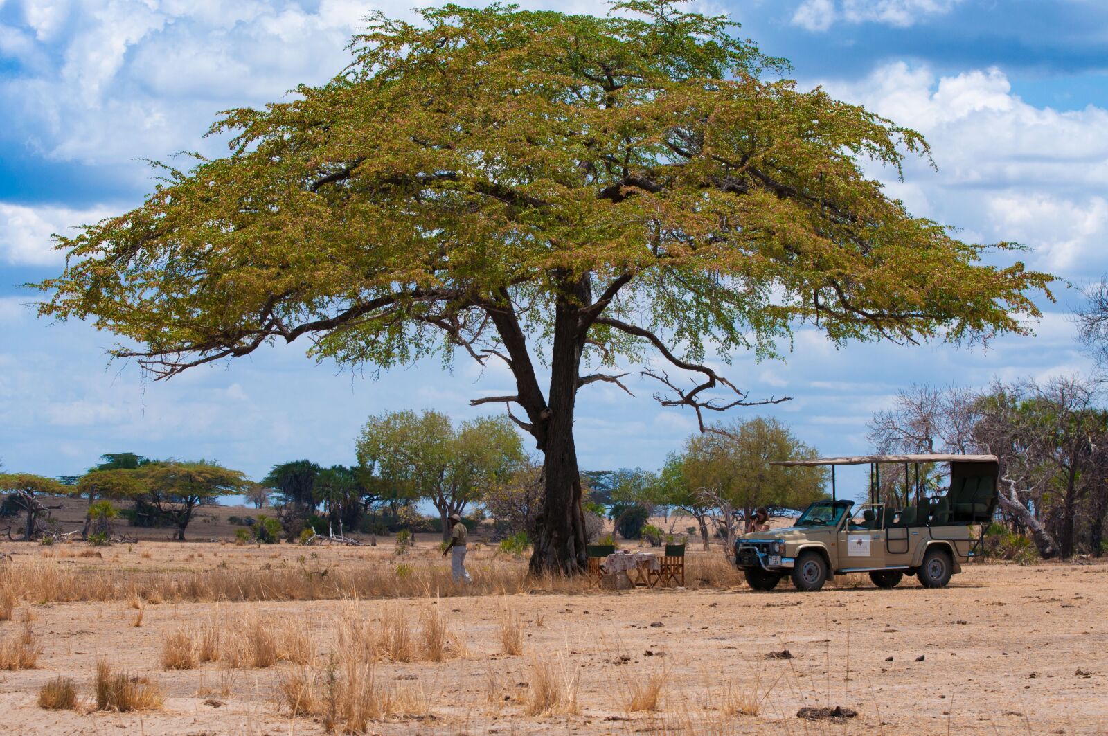 Nikon D90 sample photo. Zebra, africa, wildlife photography