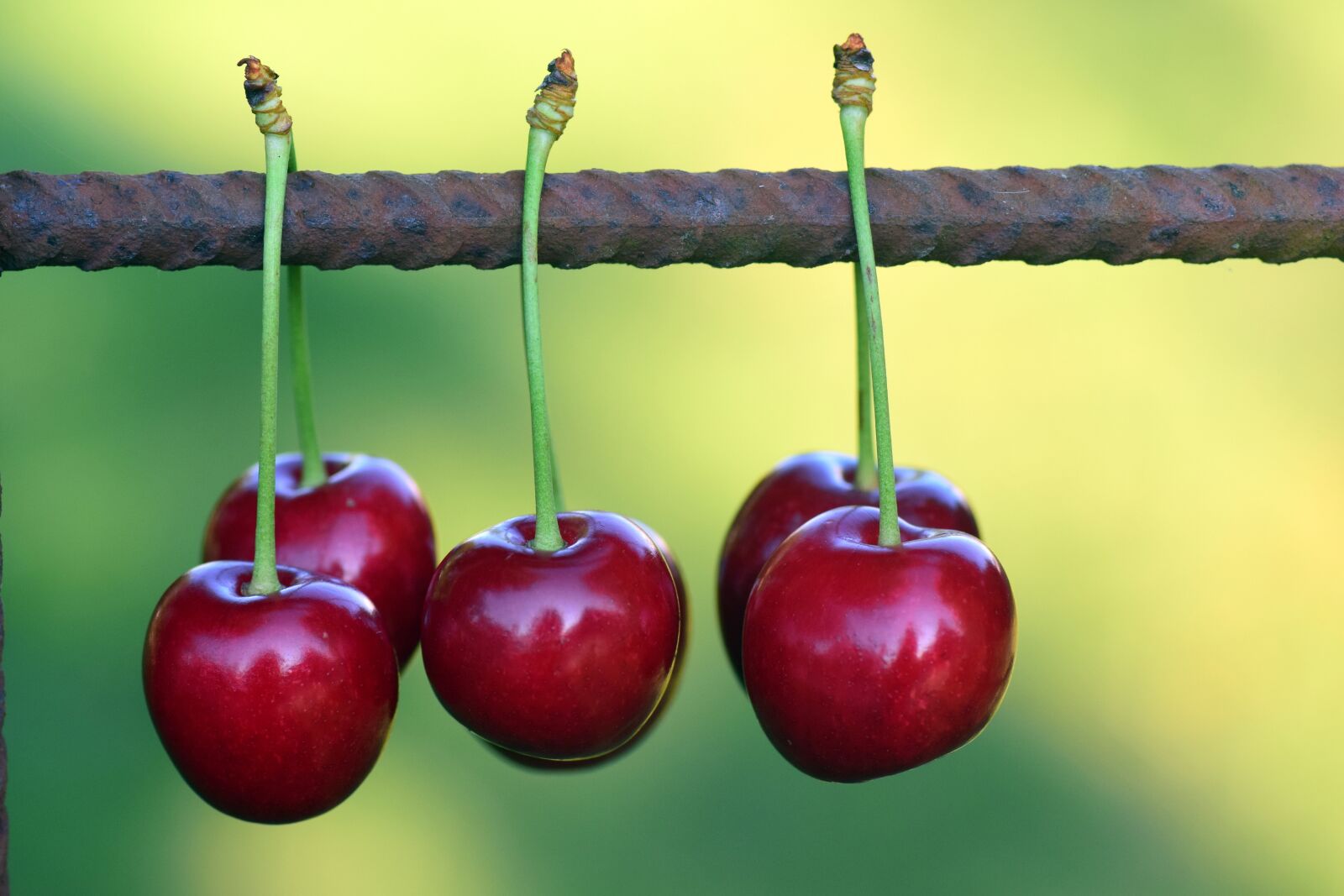 Nikon D3300 sample photo. Cherries, fruits, fruit photography