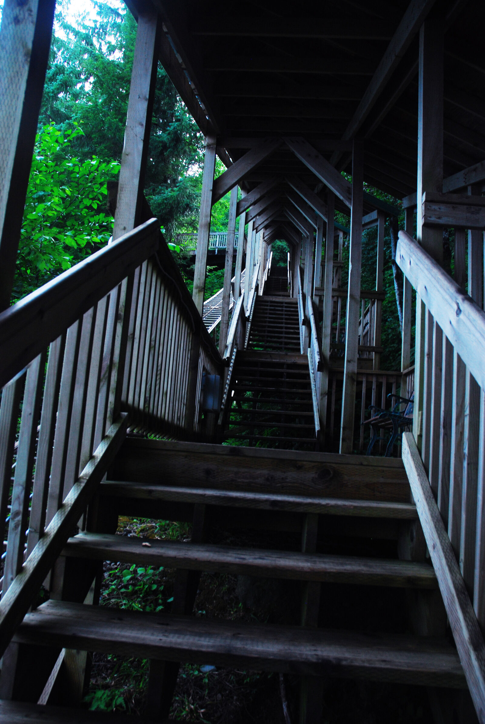 Nikon D80 sample photo
