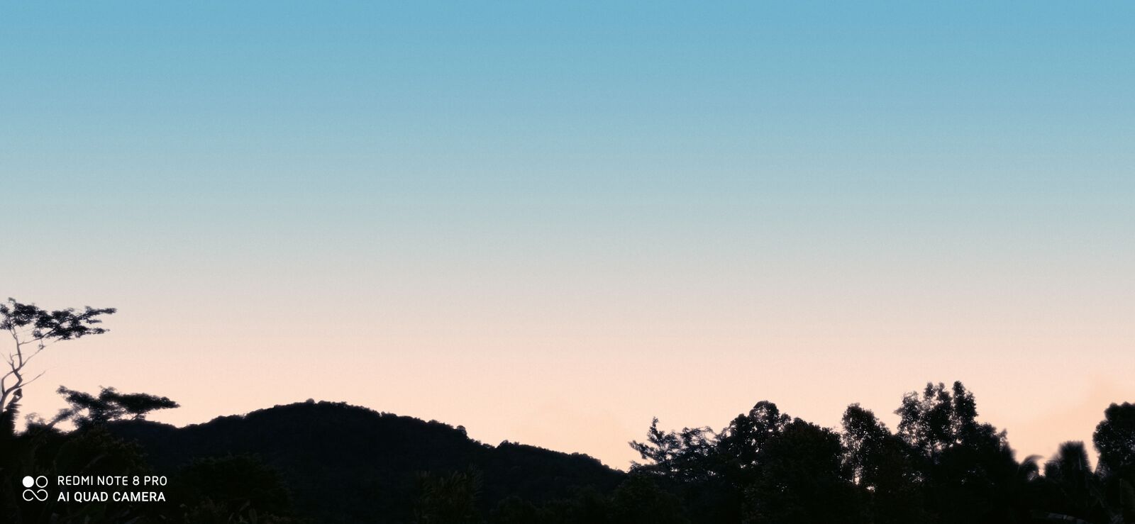 Xiaomi Redmi Note 8 Pro sample photo