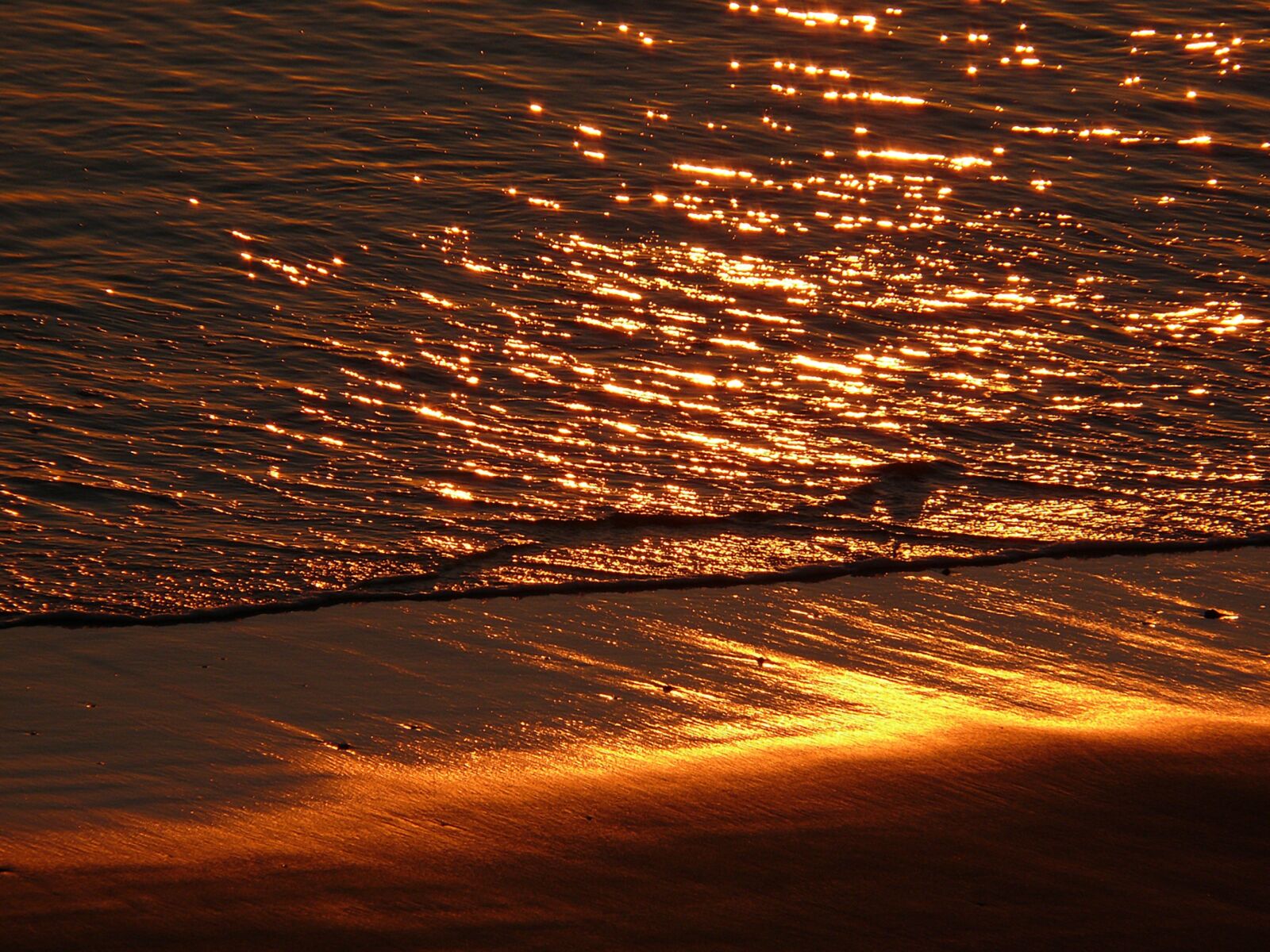 Leica V-LUX 1 sample photo. Sunset, evening, silhouette photography