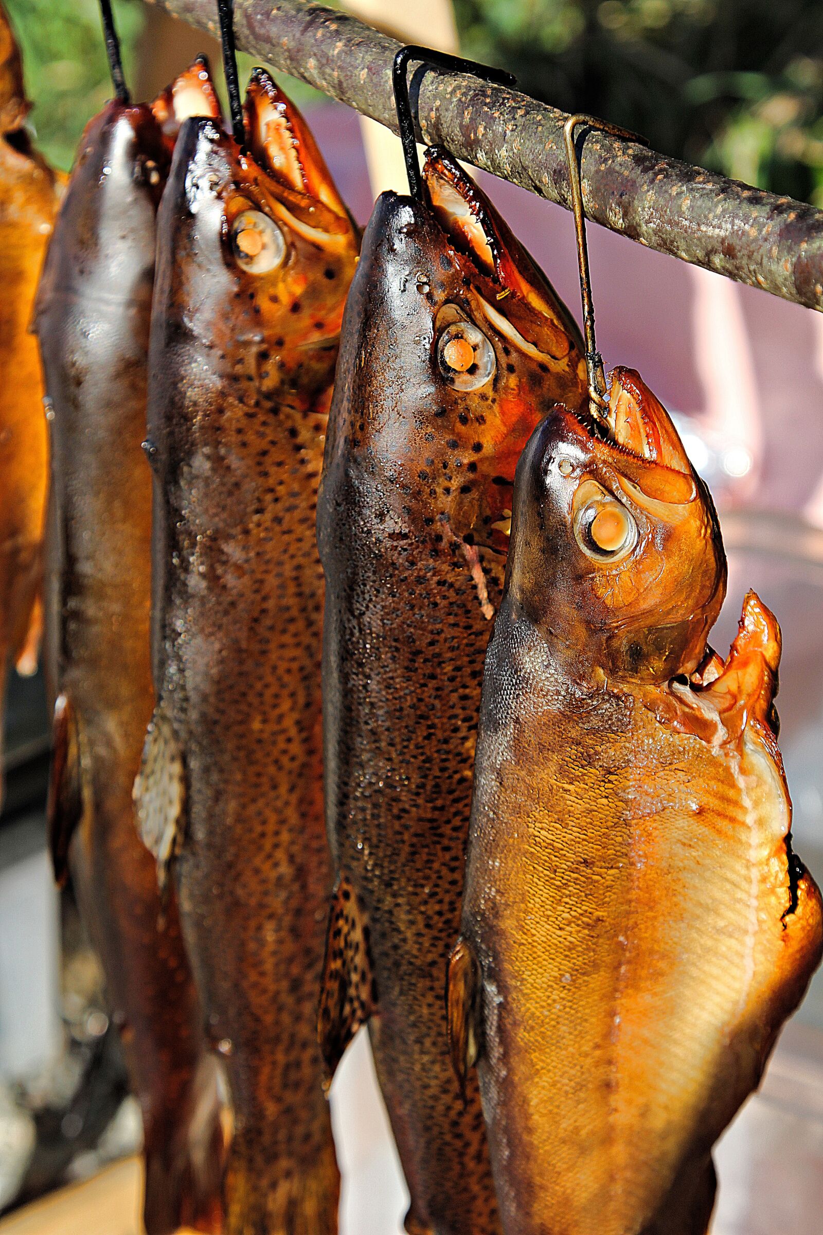 Canon EOS 60D + Canon EF 24-105mm F4L IS USM sample photo. Smoking, smoked fish, fish photography