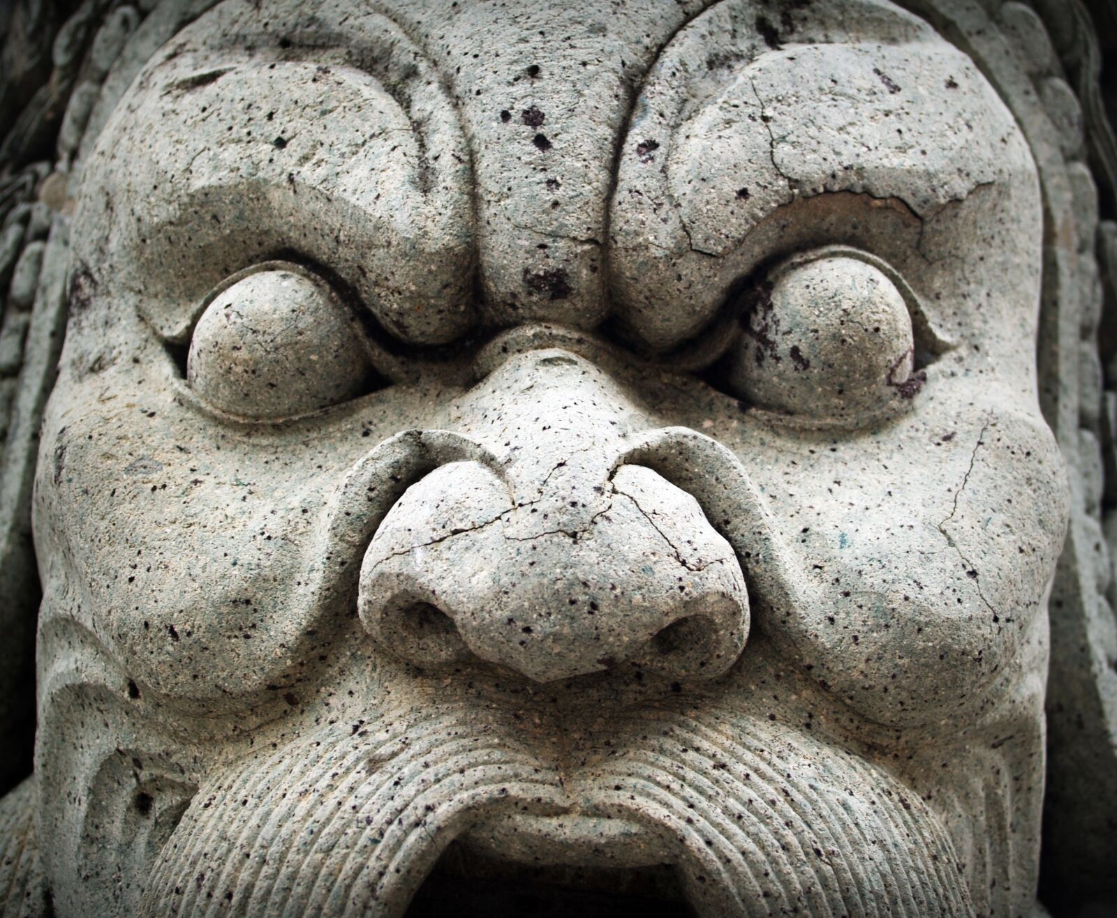 Olympus E-300 (EVOLT E-300) sample photo. Giant, isolated, thailand photography