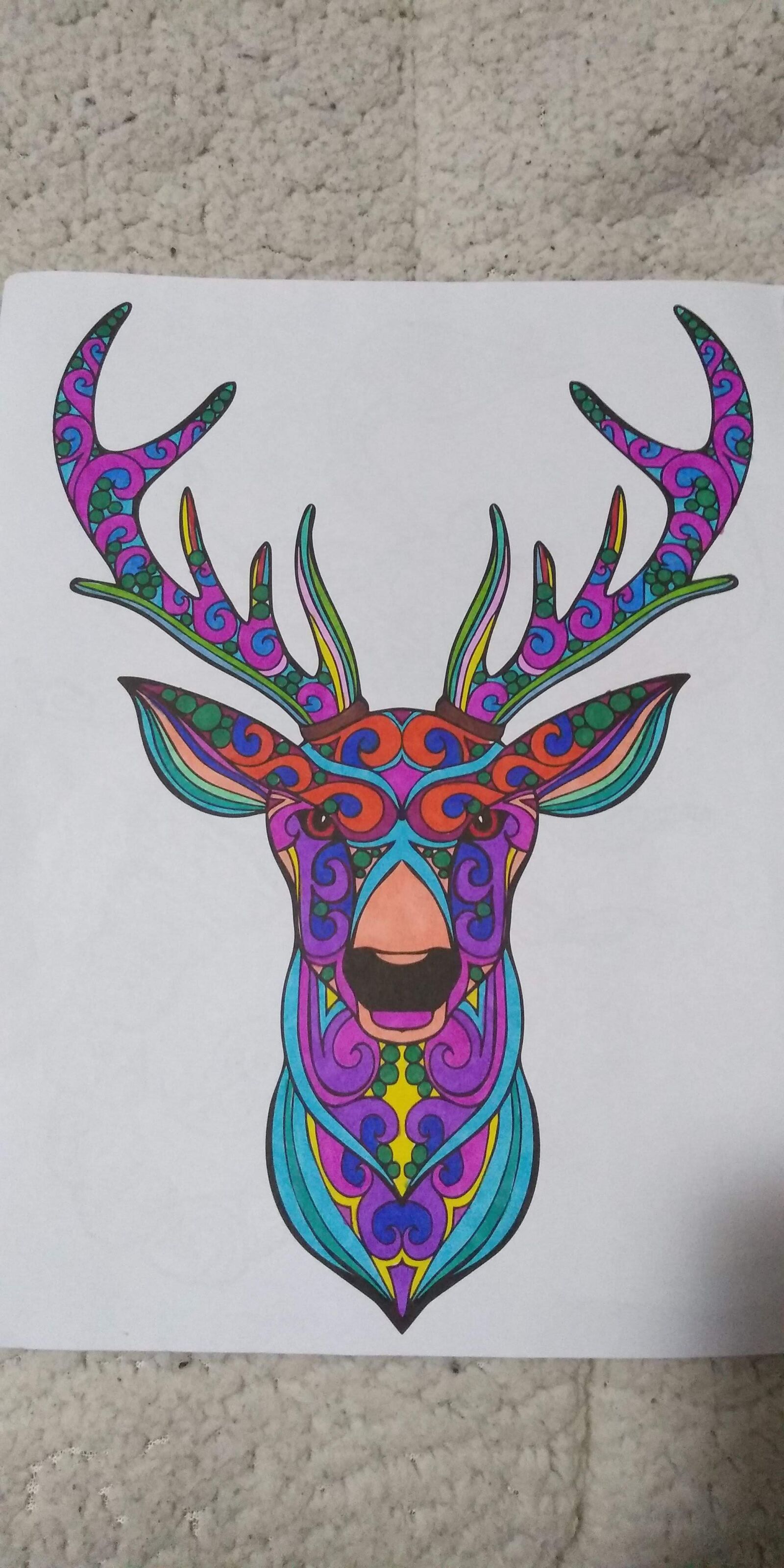 Motorola moto g(6) play sample photo. Deer, colorful, head photography
