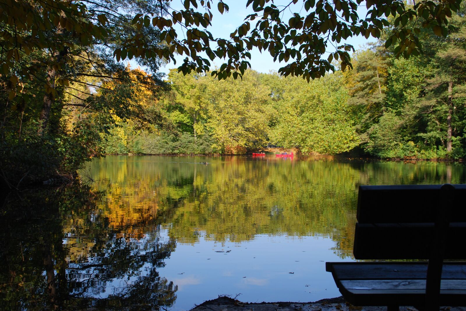 Nikon D60 sample photo. Autumn, leaves, lake photography