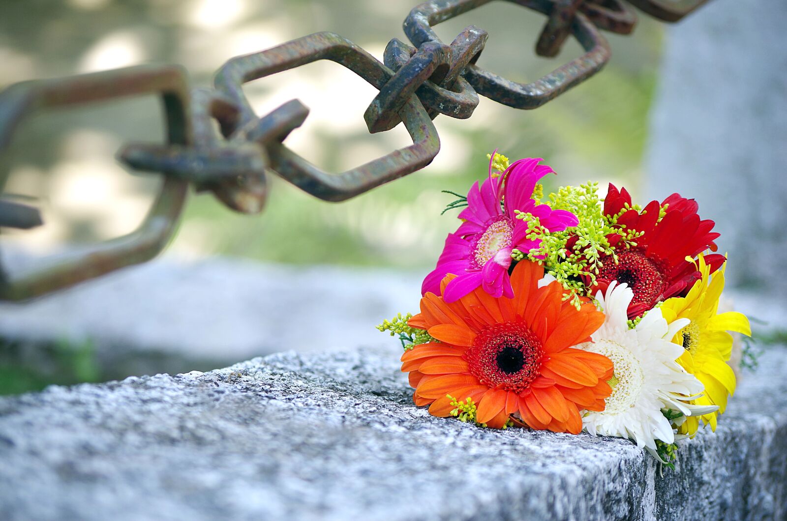 Pentax K-50 sample photo. Flowers, wedding, union photography