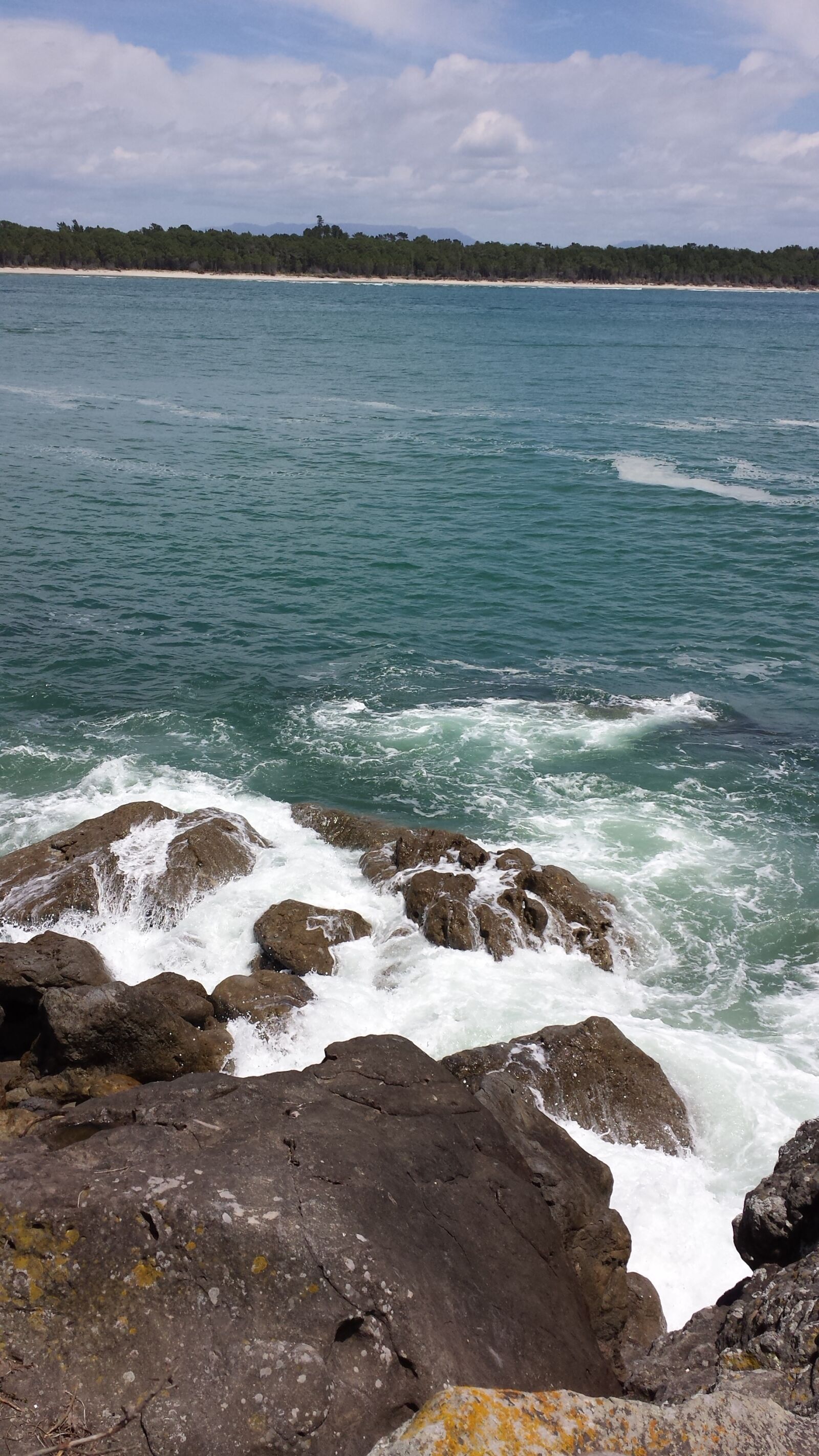 Samsung Galaxy S4 sample photo