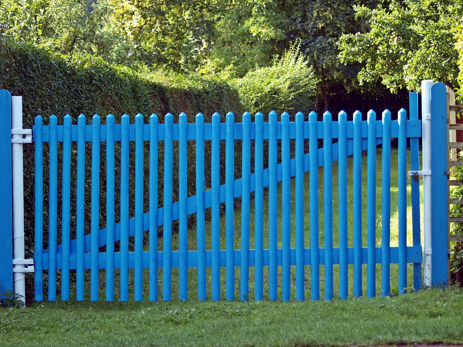 Olympus E-450 (EVOLT E-450) sample photo. Fence, garden, garden fence photography