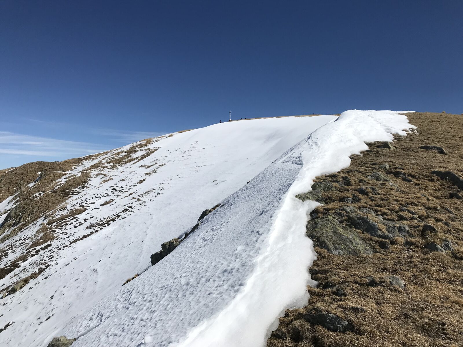 iPhone 7 back camera 3.99mm f/1.8 sample photo. Monte bregagno, alpine route photography