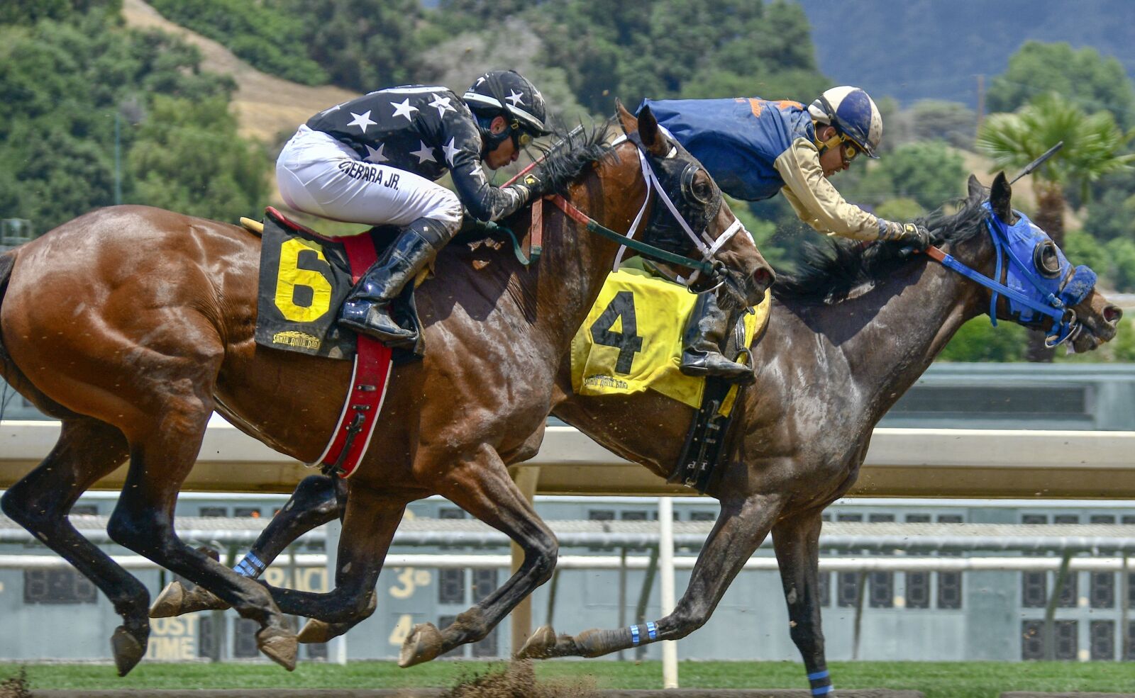 Nikon D850 sample photo. Horse, horse race, race photography