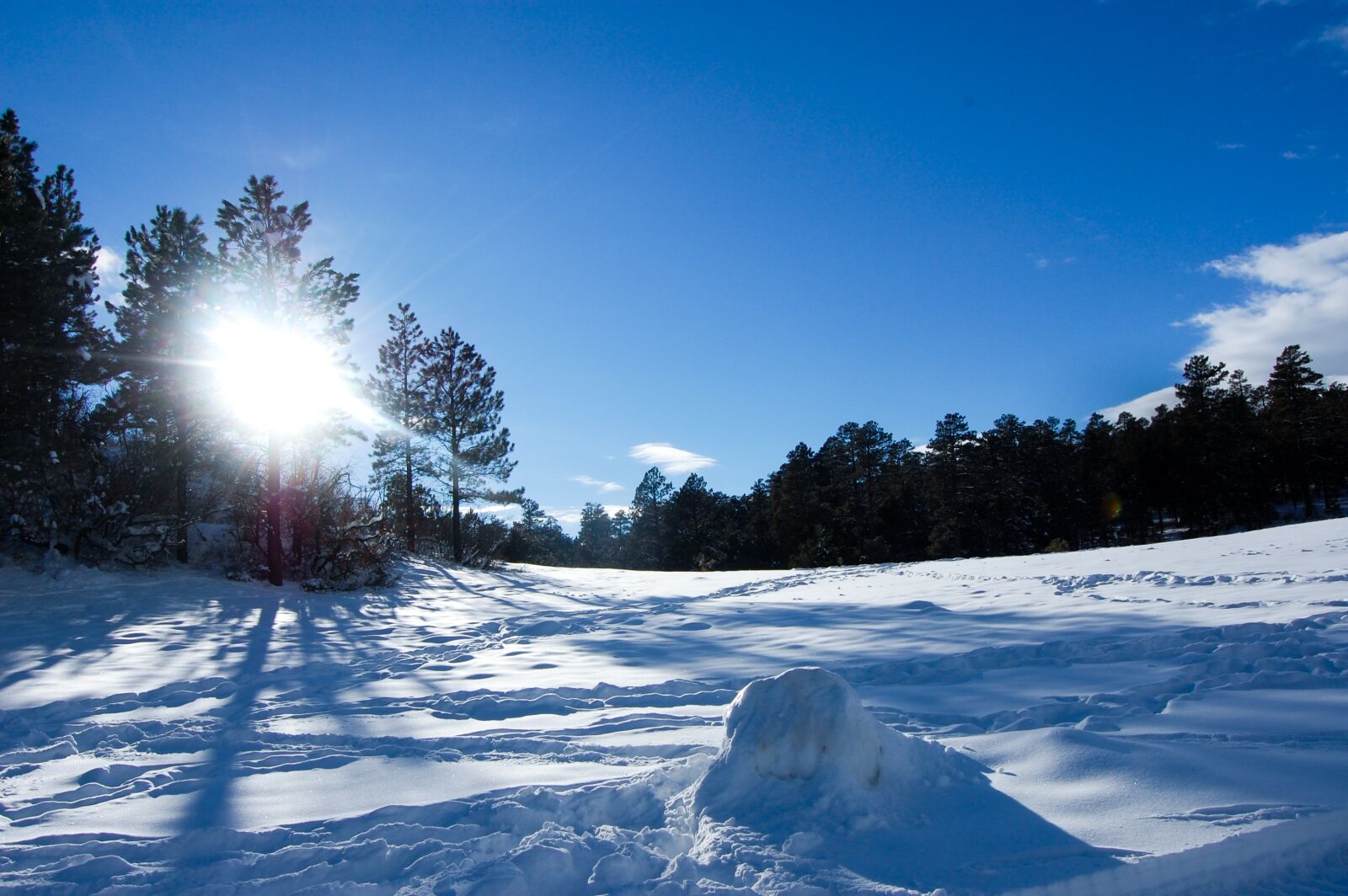 Nikon D40 sample photo. Snow, travel, colorado photography