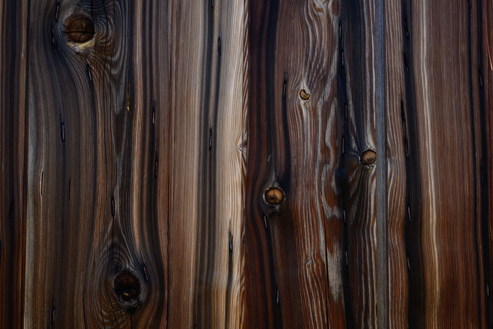 Nikon D800 sample photo. Texture, wood, background photography