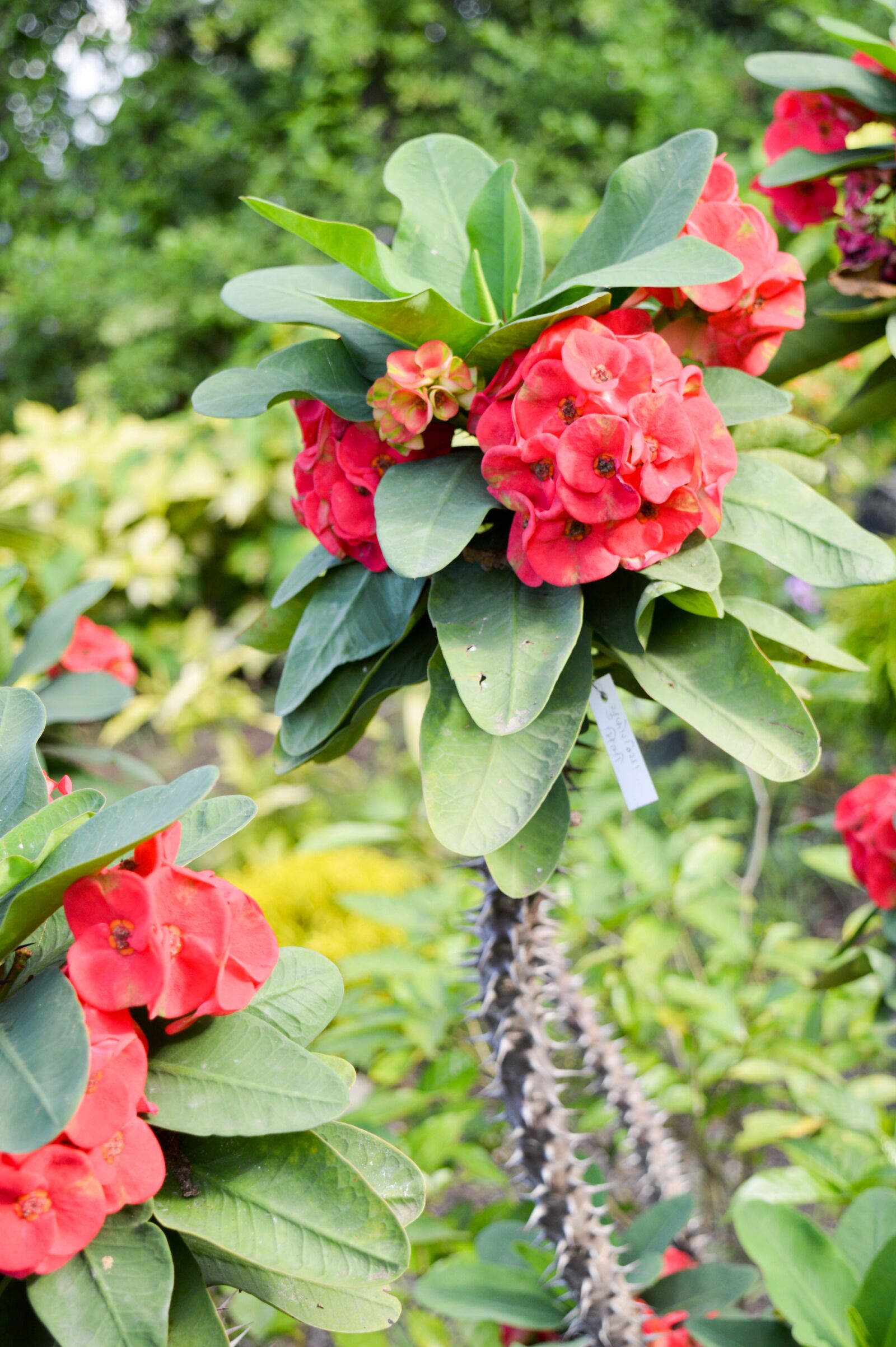 Nikon D3200 sample photo. Look like a good photography