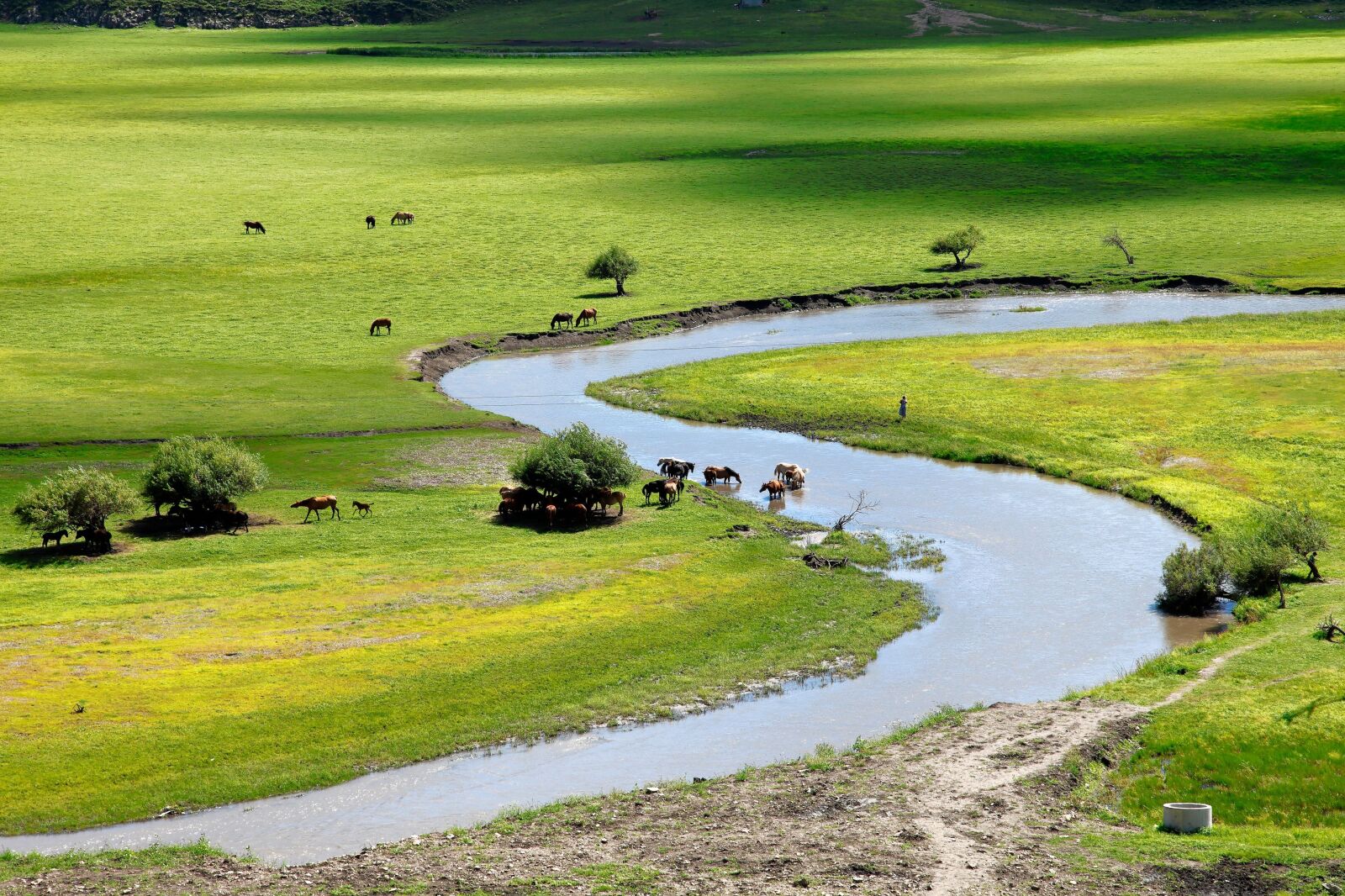 Canon EOS 5D Mark II sample photo. Inner mongolia, horqin, prairie photography