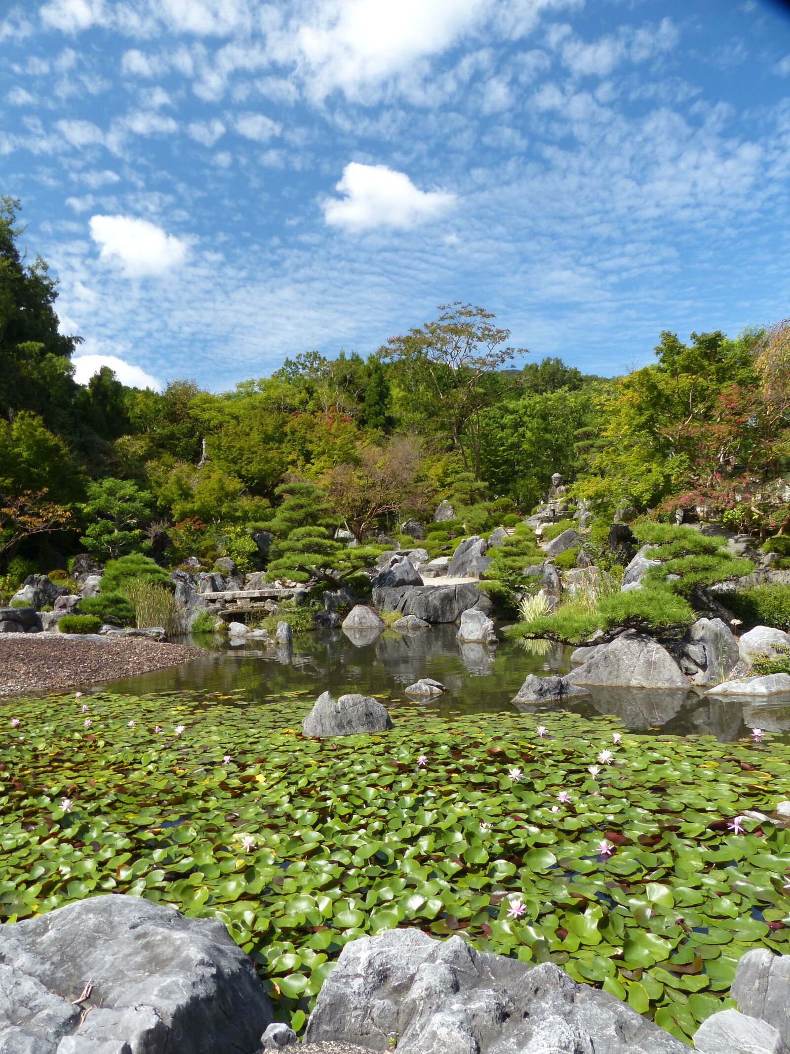 Panasonic Lumix DMC-FZ200 sample photo. Japan garden, it is photography