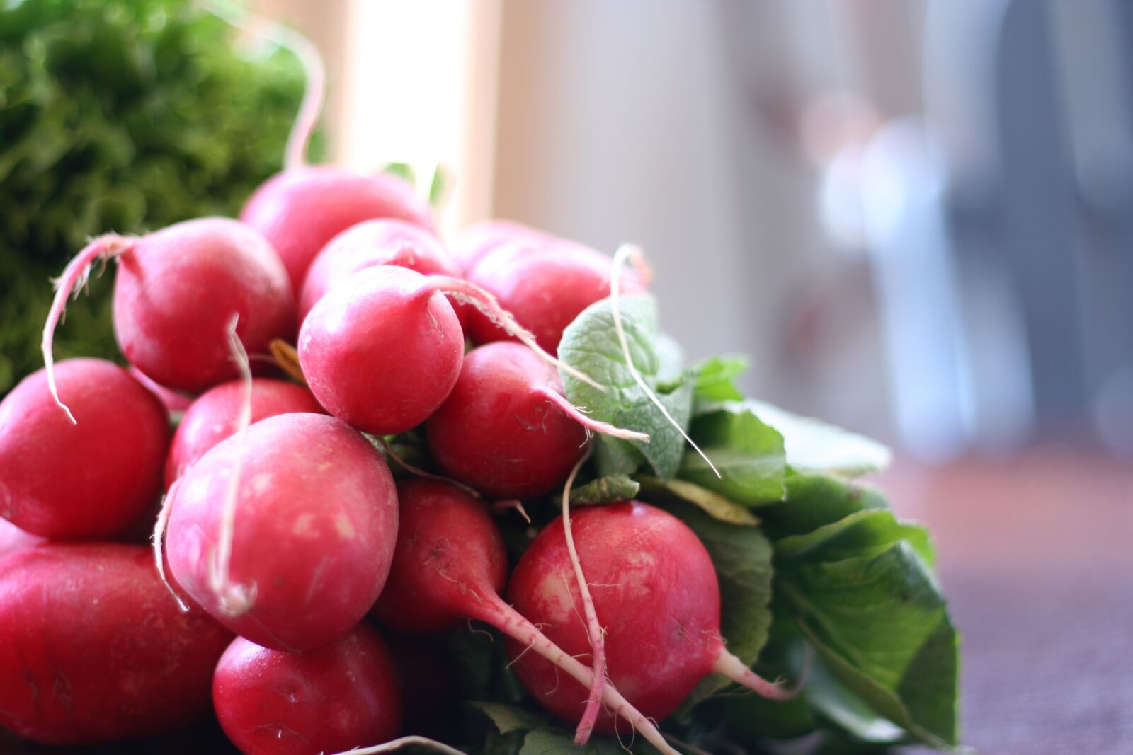 Canon EOS 350D (EOS Digital Rebel XT / EOS Kiss Digital N) sample photo. Radish, vegetable, fresh photography