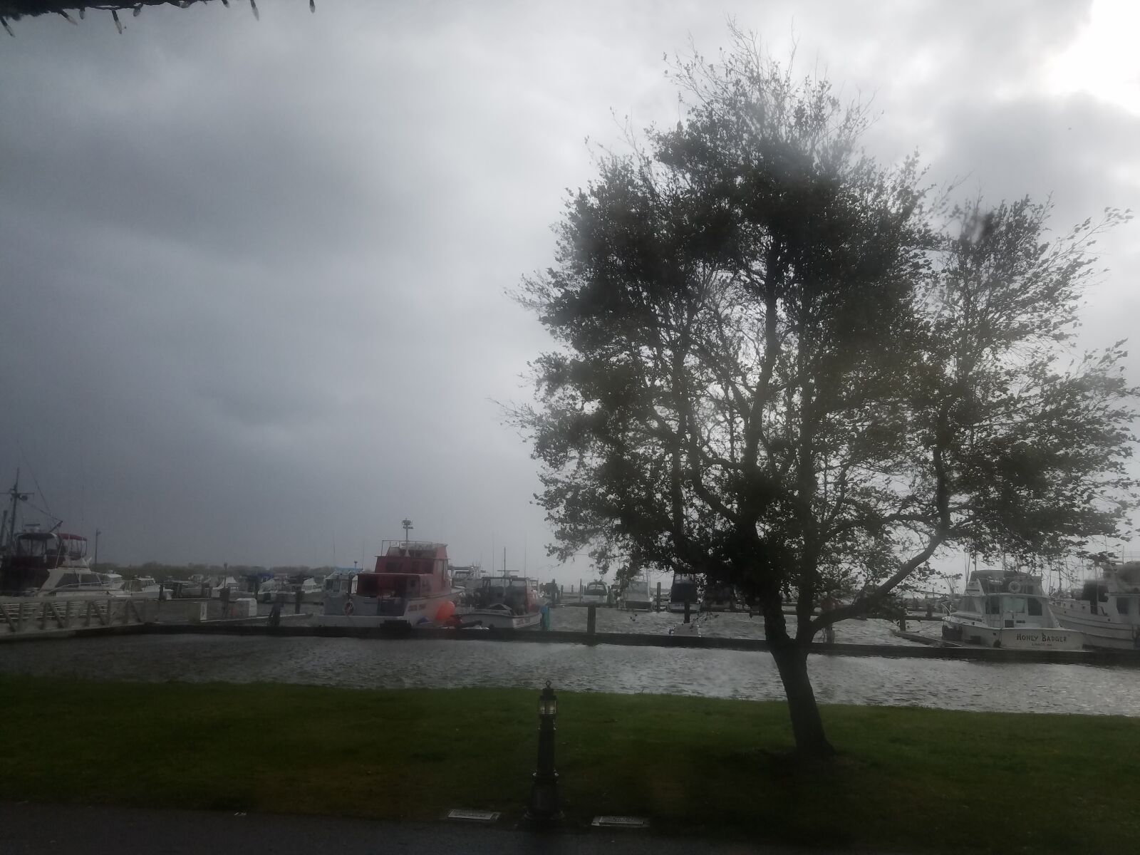 Samsung Galaxy S7 Edge sample photo. Bay, storm, tree photography