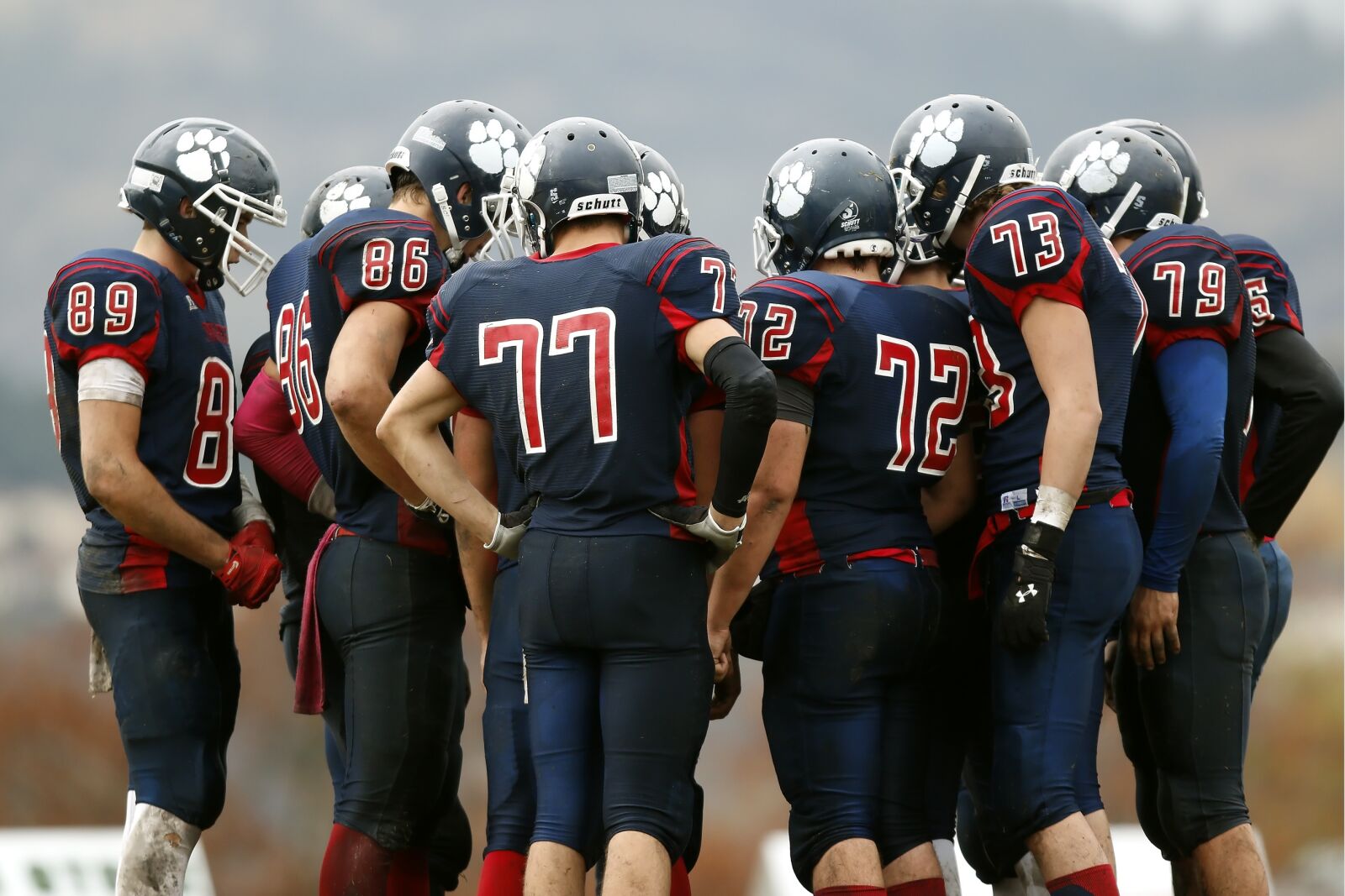 Canon EF 300mm F2.8L IS USM sample photo. American football, football team photography