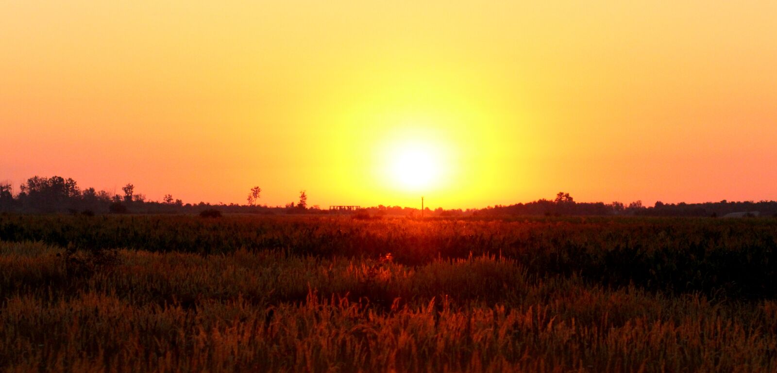 Canon EOS 700D (EOS Rebel T5i / EOS Kiss X7i) + Canon EF 85mm F1.8 USM sample photo. Sunrise, sun, sky photography