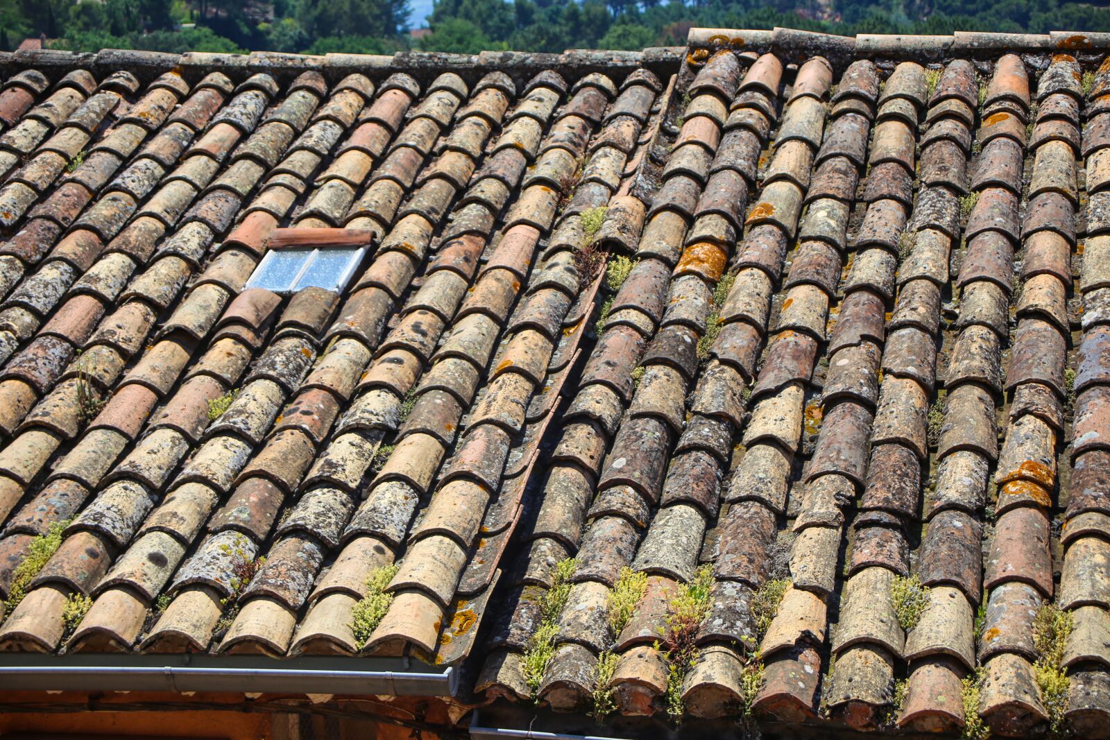 Canon EF 28-80mm f/3.5-5.6 sample photo. Clay tiles, tile, lichen photography