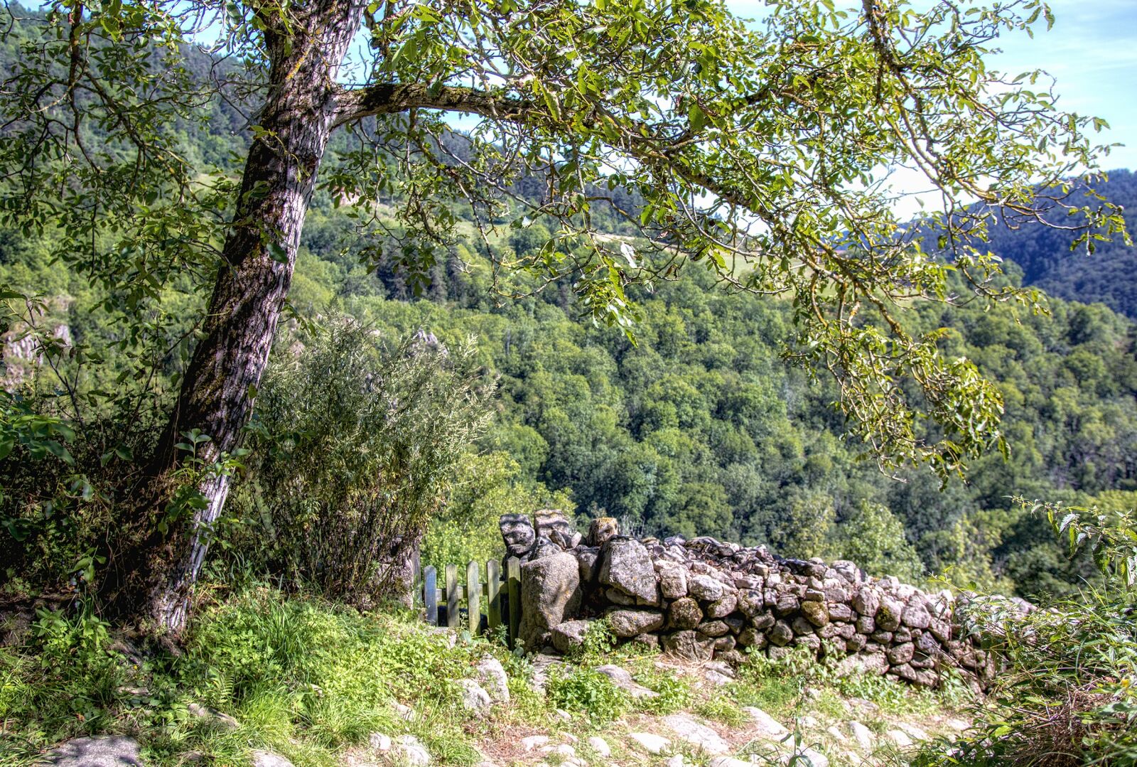 Canon EOS 70D sample photo. Chalencon, high-loire, auvergne photography