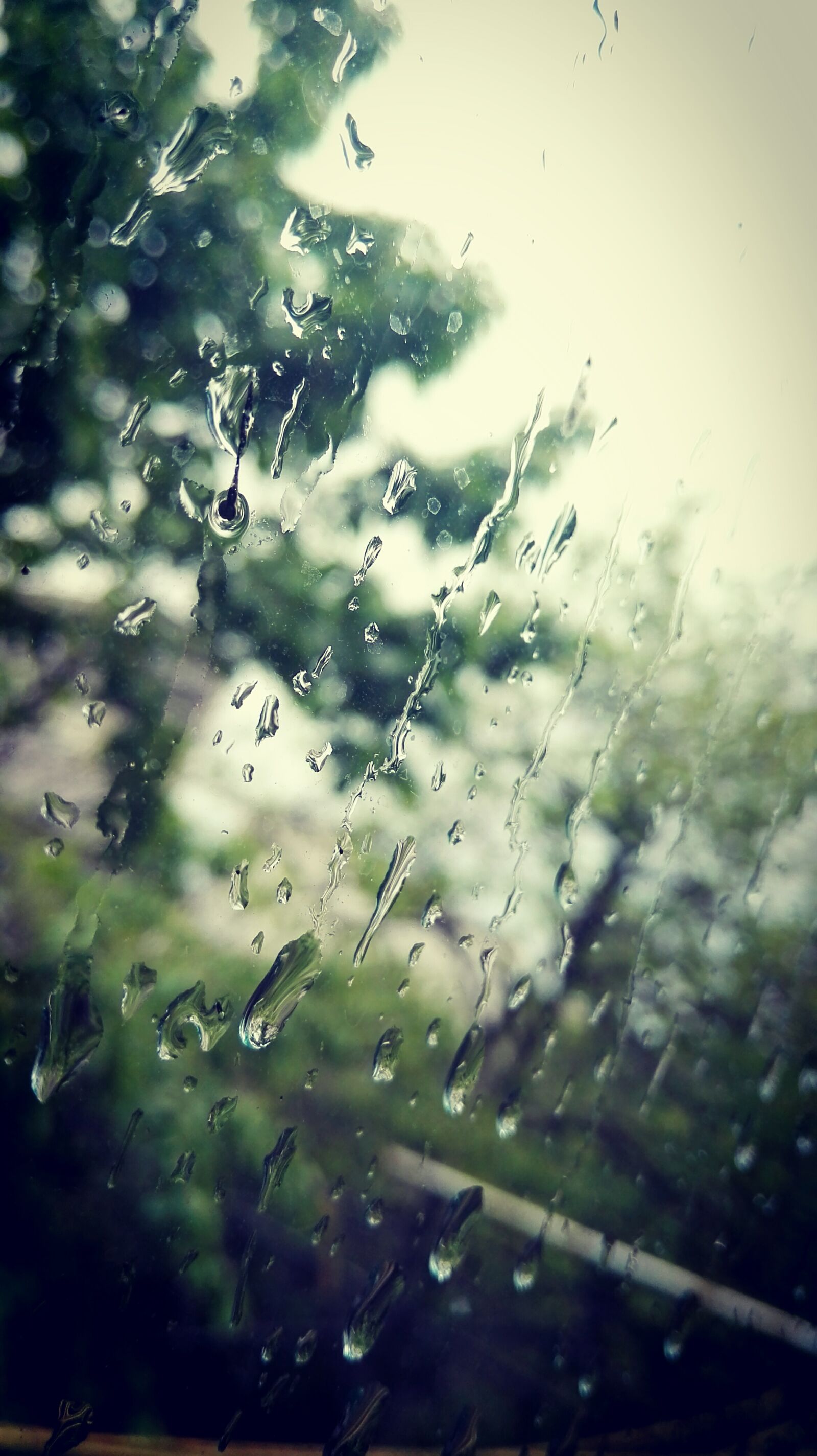 HUAWEI P8 sample photo. Raindrops, window photography