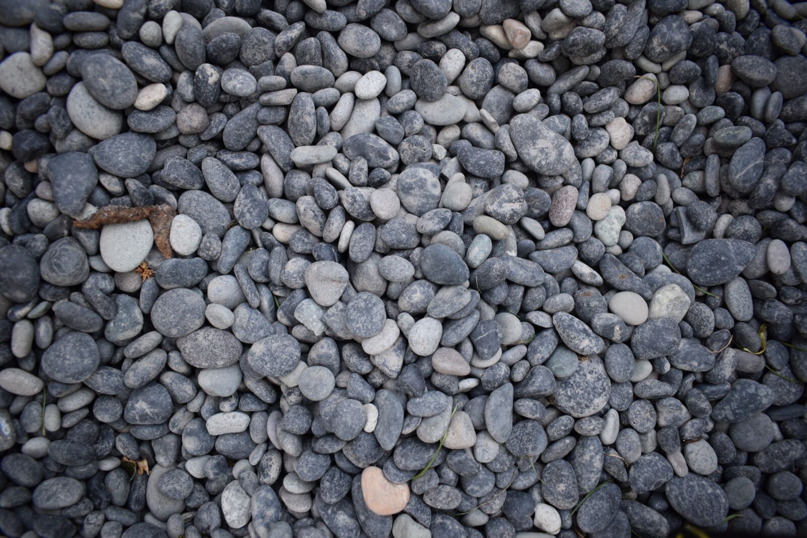 Nikon D3300 sample photo. Stones, pebbles, beach photography