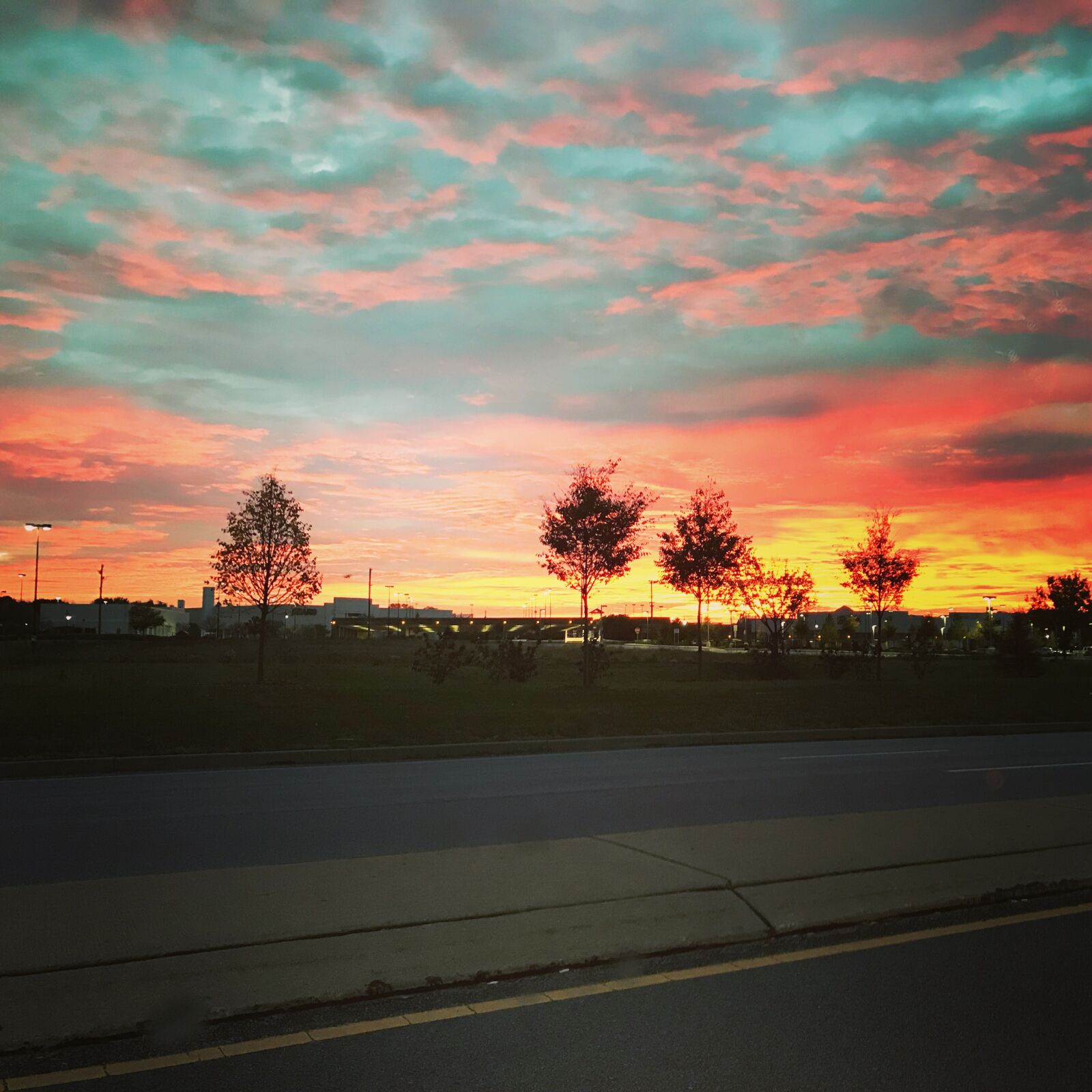 iPhone 7 back camera 3.99mm f/1.8 sample photo. Sunset, road, path photography