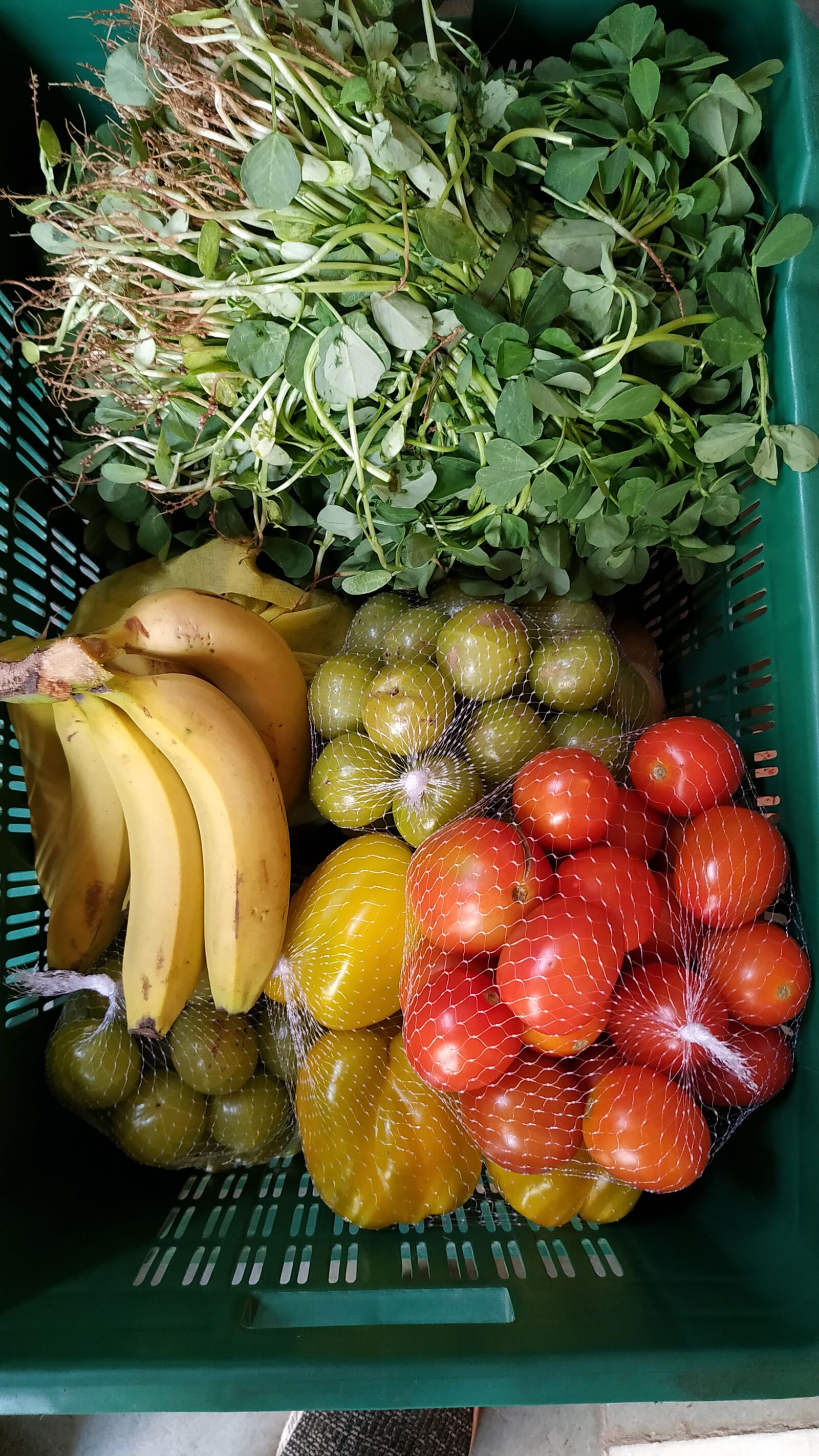Xiaomi Redmi Note 6 Pro sample photo. Organic vegetable, fruits, tomato photography