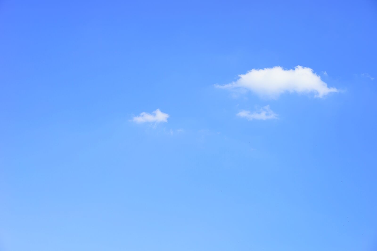 Sony a7 + Sony Sonnar T* FE 55mm F1.8 ZA sample photo. Clouds, cumulus, cumulus clouds photography