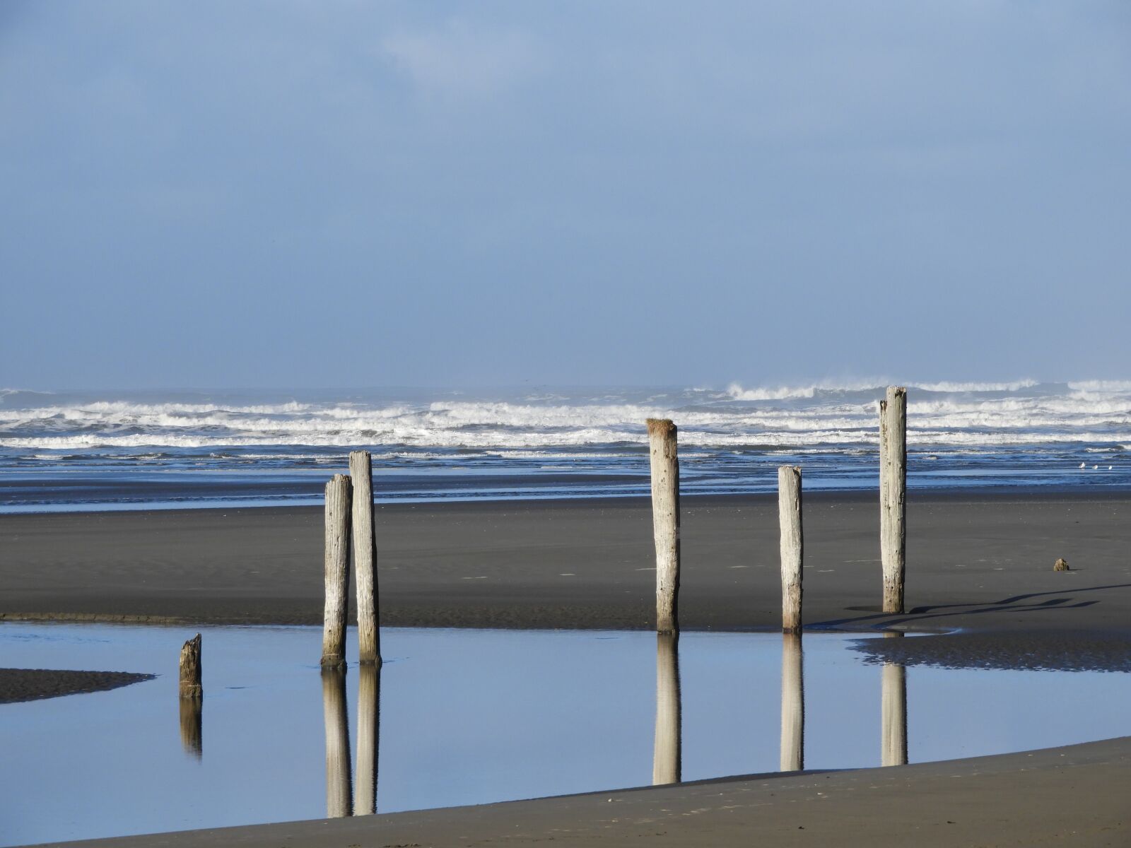 Nikon Coolpix B700 sample photo. Beach, piling, ocean photography