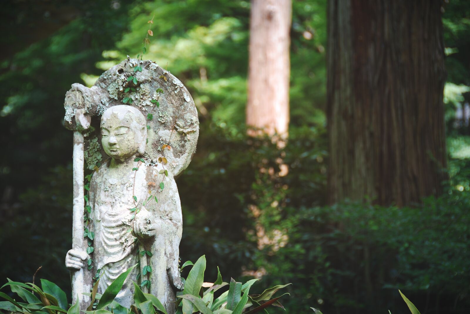 Nikon D40X sample photo. Buddha, statue, sculpture photography