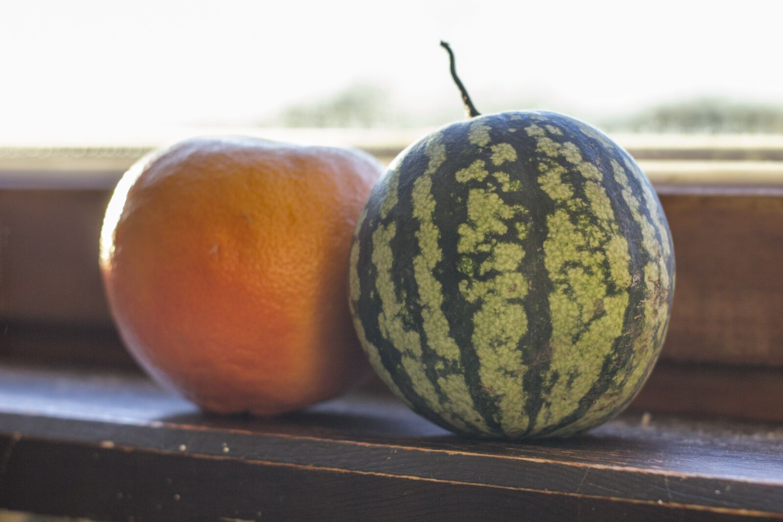Canon EOS 550D (EOS Rebel T2i / EOS Kiss X4) sample photo. Small, watermelon, grapefruit photography