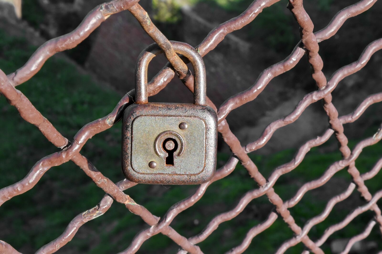 Nikon D5500 sample photo. Padlock, fastener, lock, iron photography