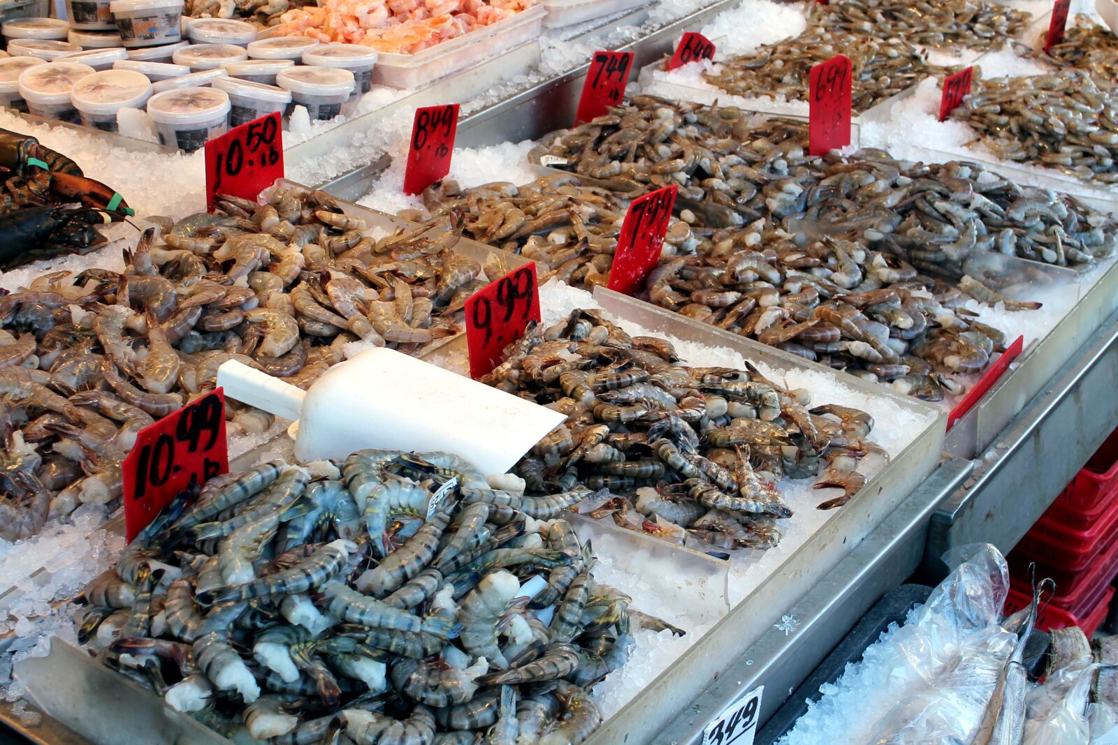 Canon EOS 1100D (EOS Rebel T3 / EOS Kiss X50) sample photo. Market, seafood, shrimp photography