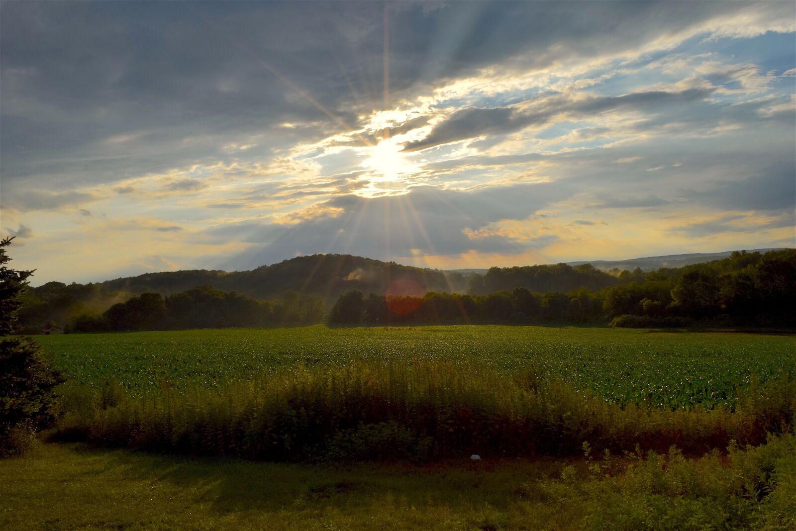 Nikon D3300 sample photo. Landscape, field, sunshine photography
