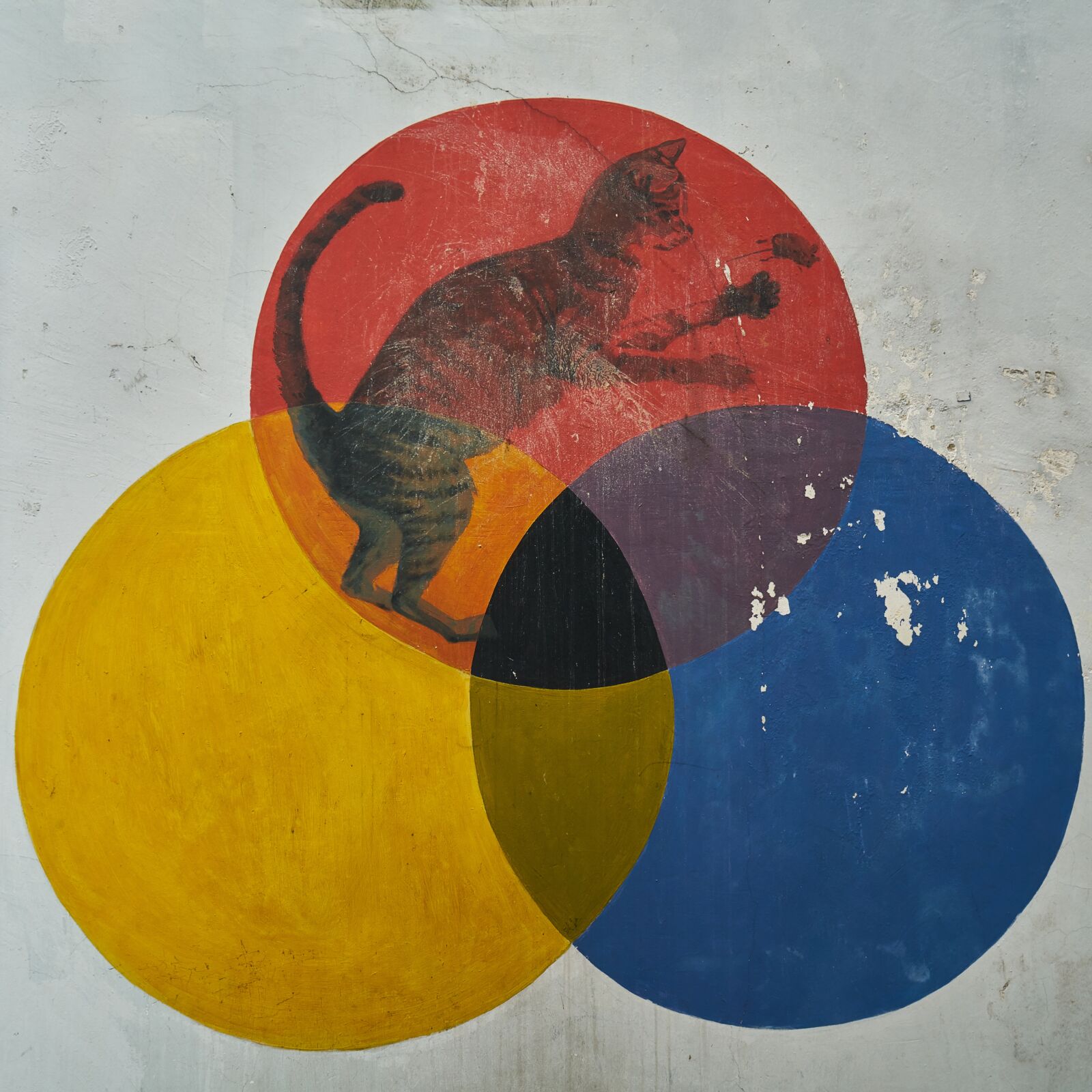Sony a7R II sample photo. Color, paint, circle photography