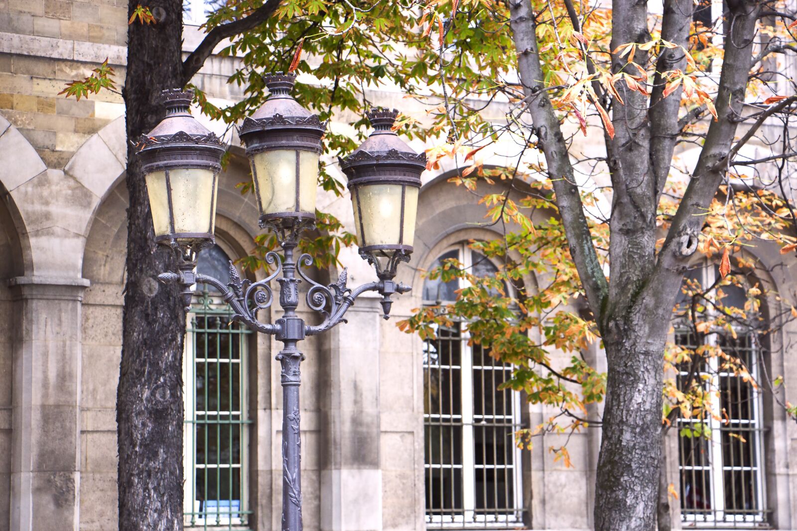 Canon EOS 700D (EOS Rebel T5i / EOS Kiss X7i) sample photo. Building, old, historic photography