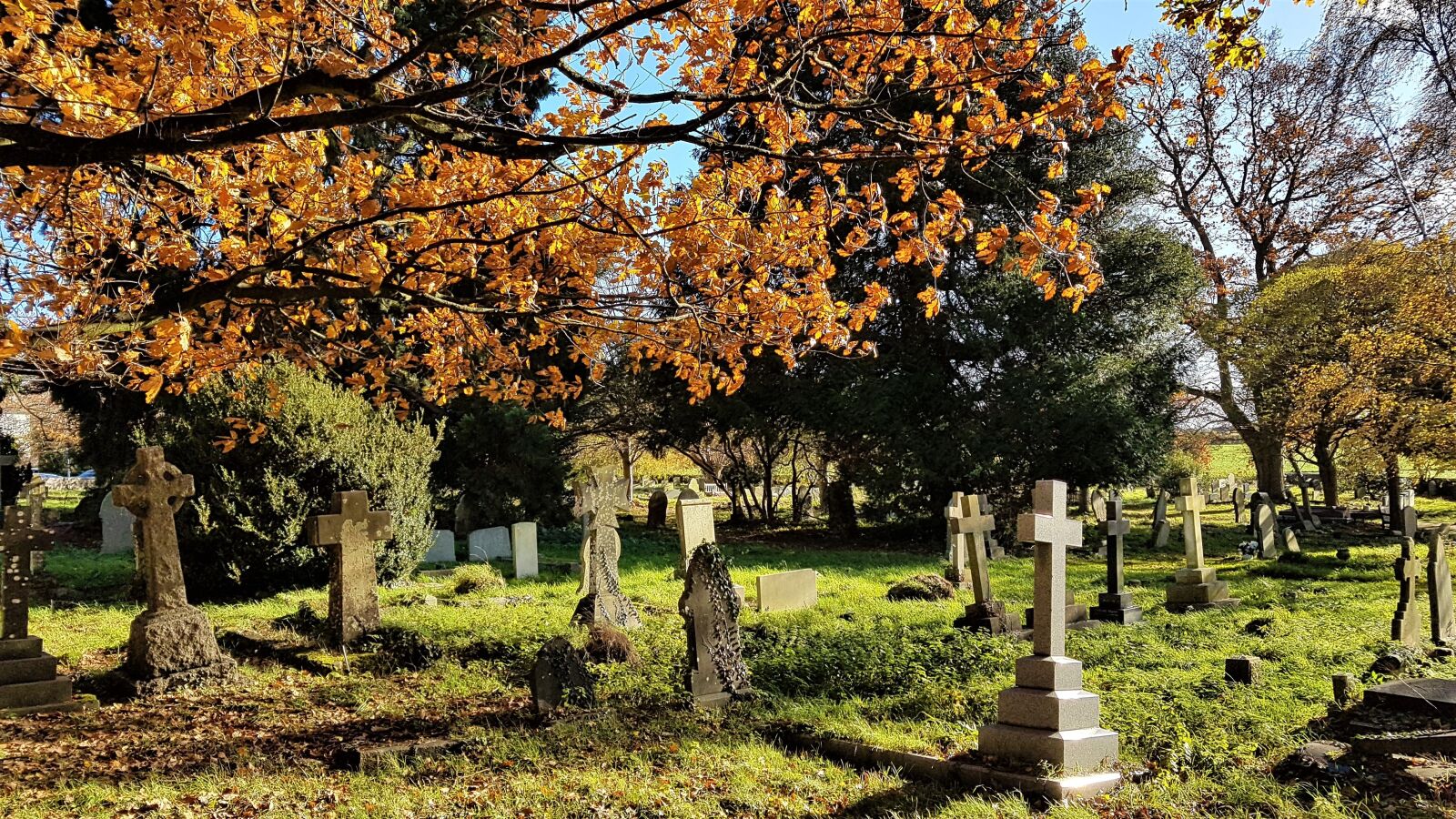 Samsung Galaxy S7 Edge sample photo. Churchyard, graves, trees photography