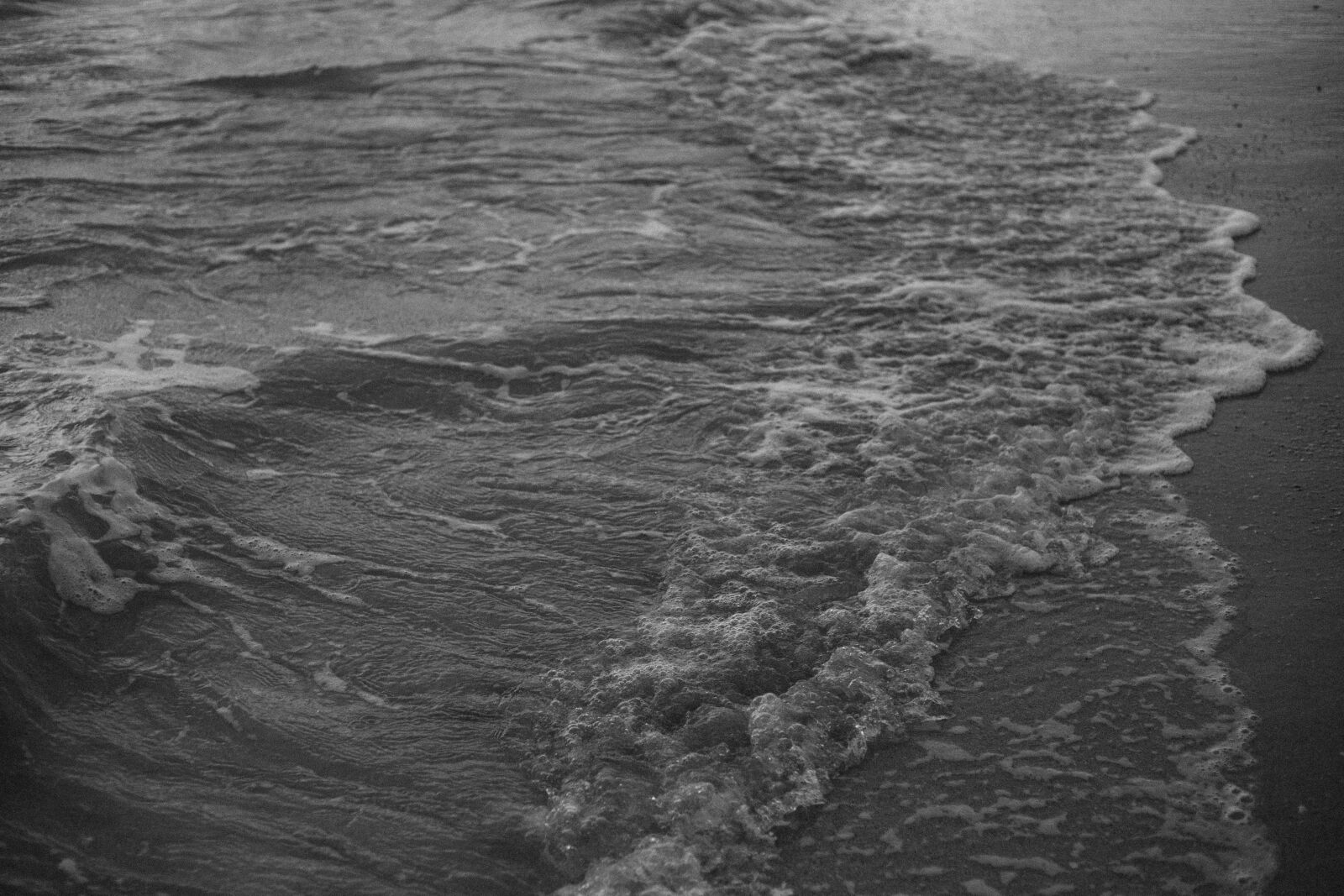 Canon EOS 6D + Canon EF 50mm F1.8 STM sample photo. Beach, black, and, white photography