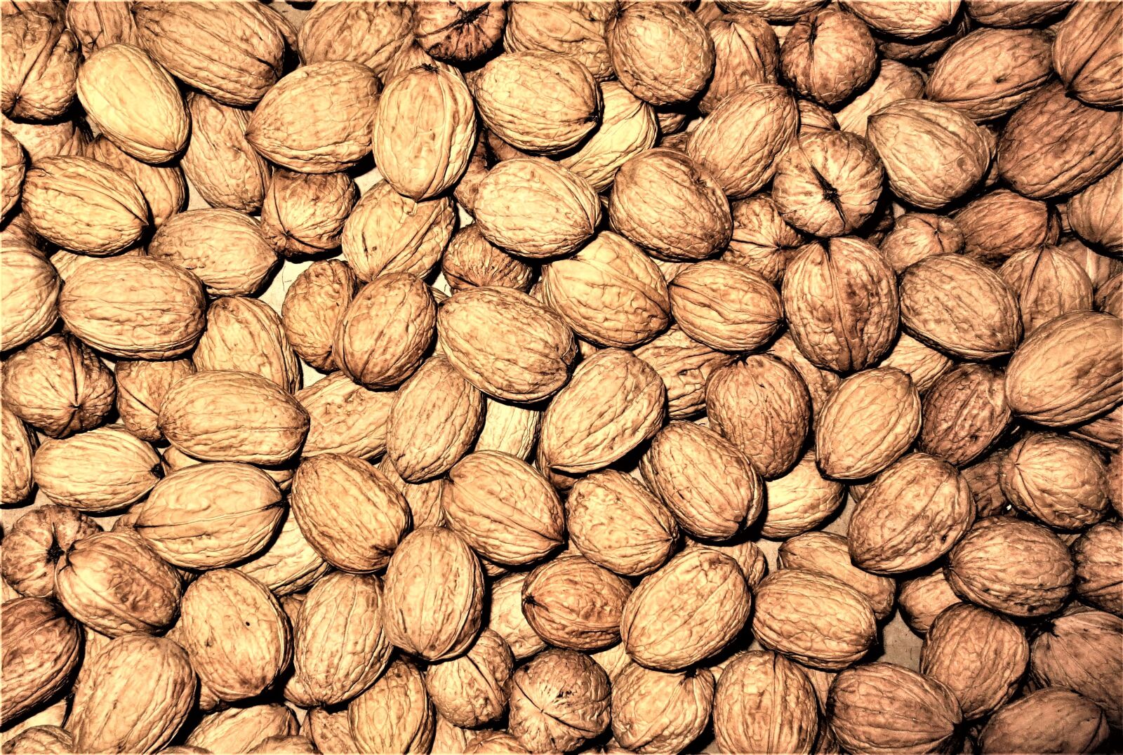 Canon IXUS 240 HS sample photo. Walnuts, nuts, fruit photography