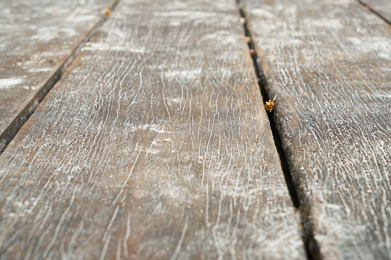 Sony a7R II sample photo. Wood-fibre boards, macro, wood photography