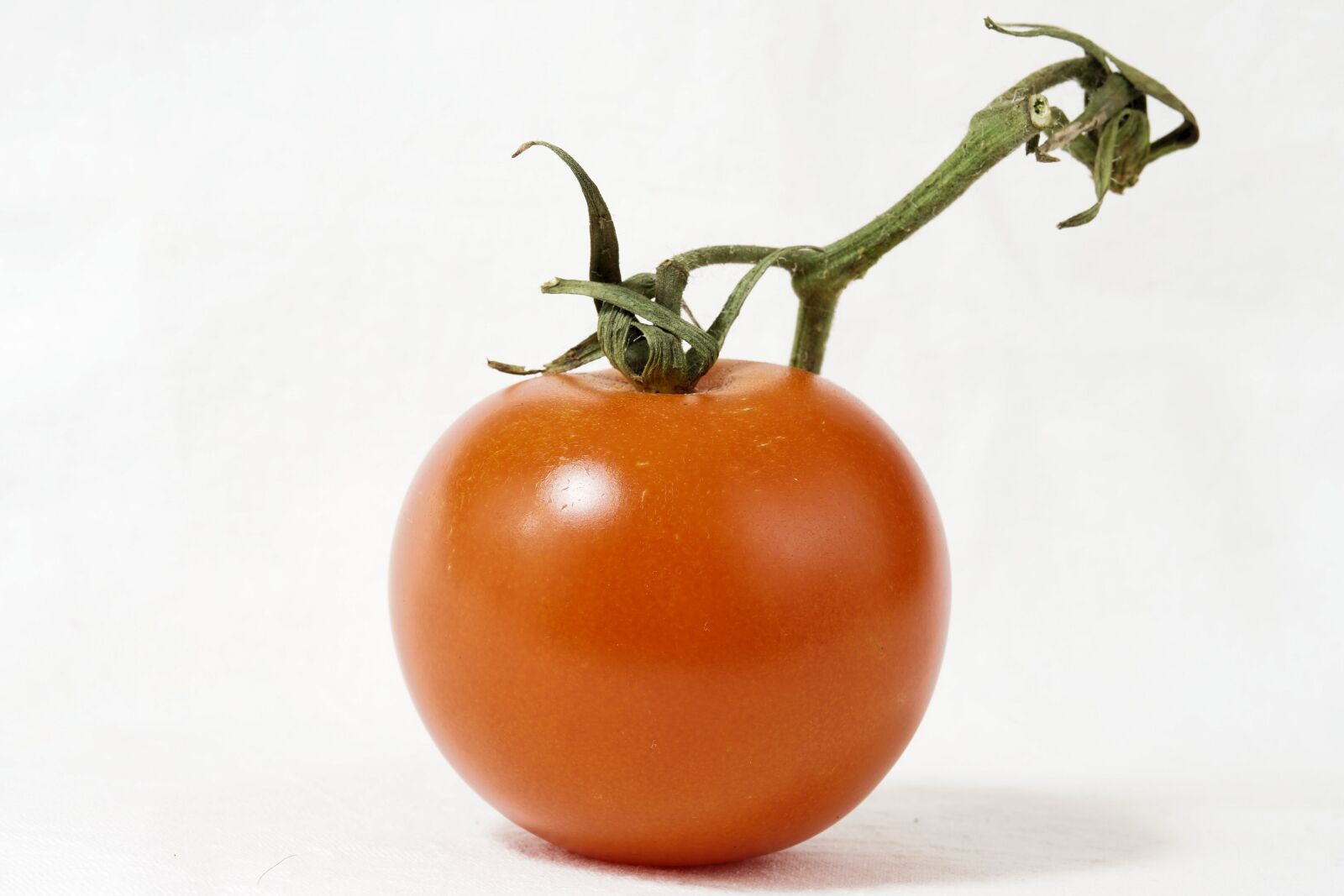 Sony a6000 + E 60mm F2.8 sample photo. Tomato, bush tomato, panicle photography