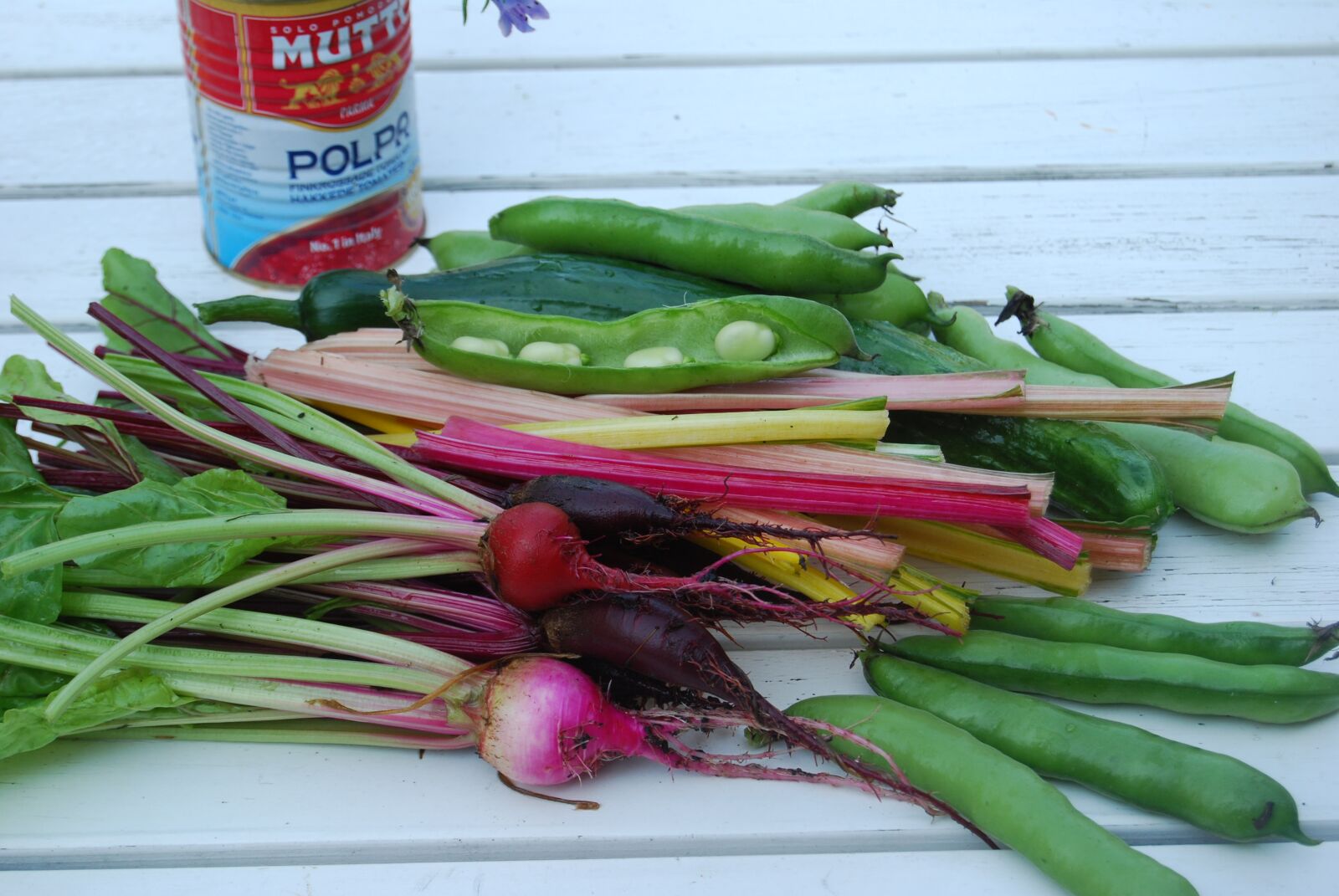Nikon D40X sample photo. Cultivation, beans, garden photography