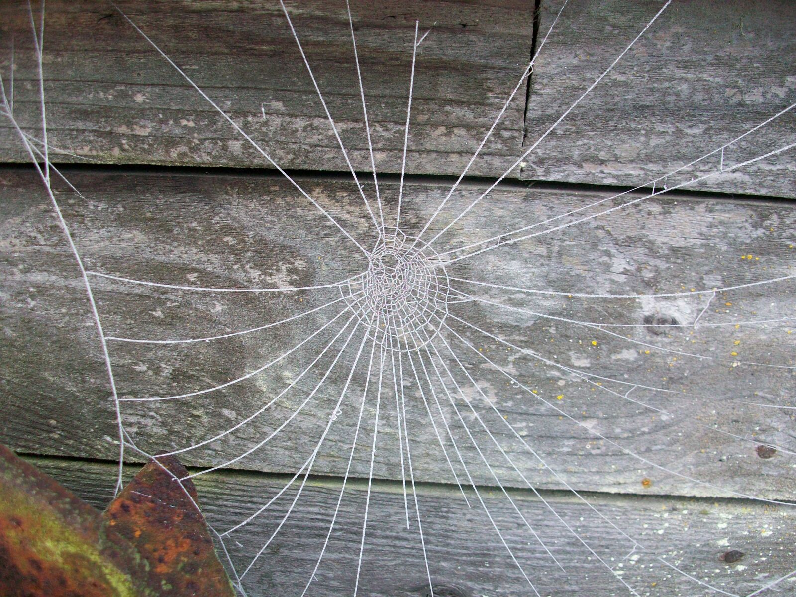 Kodak EASYSHARE M1063 DIGITAL CAMERA sample photo. Frost, frozen spider web photography