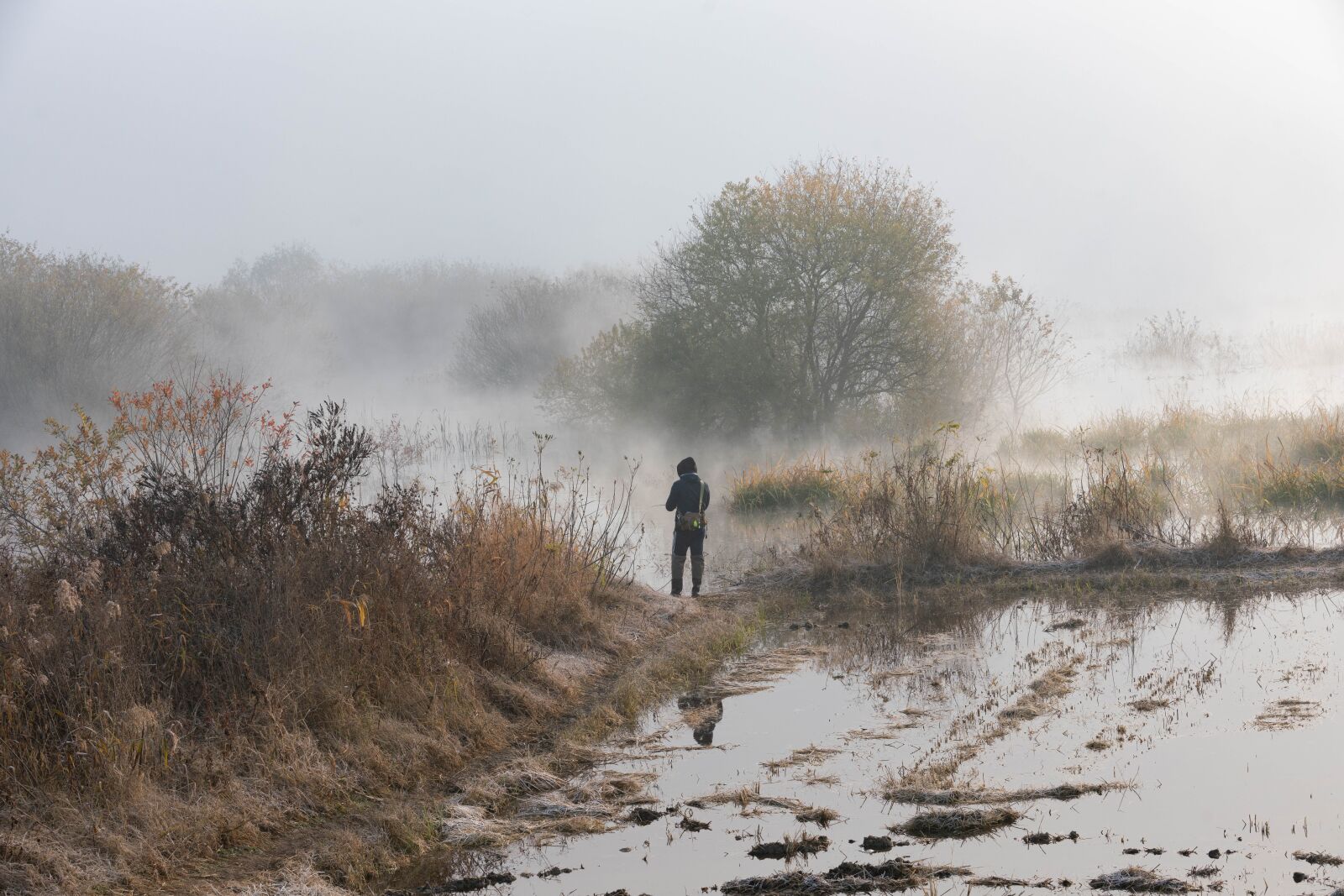 Sony a99 II sample photo. Fog, forest, fishing photography