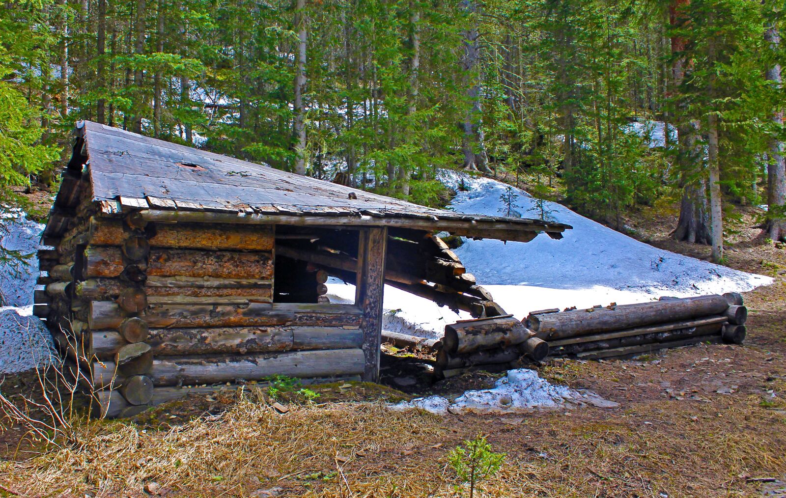 Canon EOS 1100D (EOS Rebel T3 / EOS Kiss X50) sample photo. Old cabin, cabin, dilapidated photography