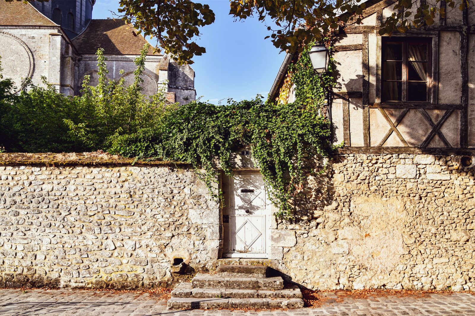 Nikon D500 sample photo. House, facade, door photography